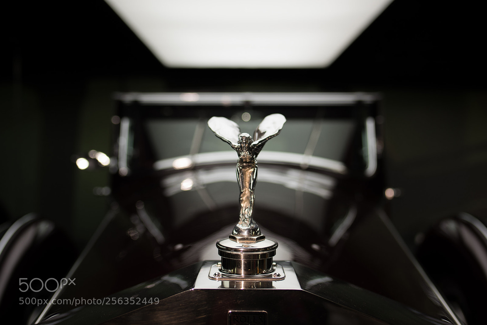 Nikon D810 sample photo. Untitled photography