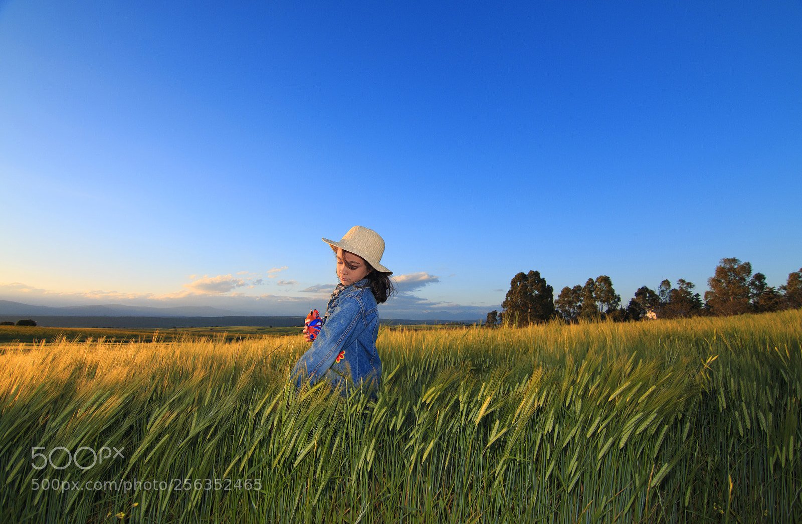 Canon EOS 70D sample photo. The meadow photography