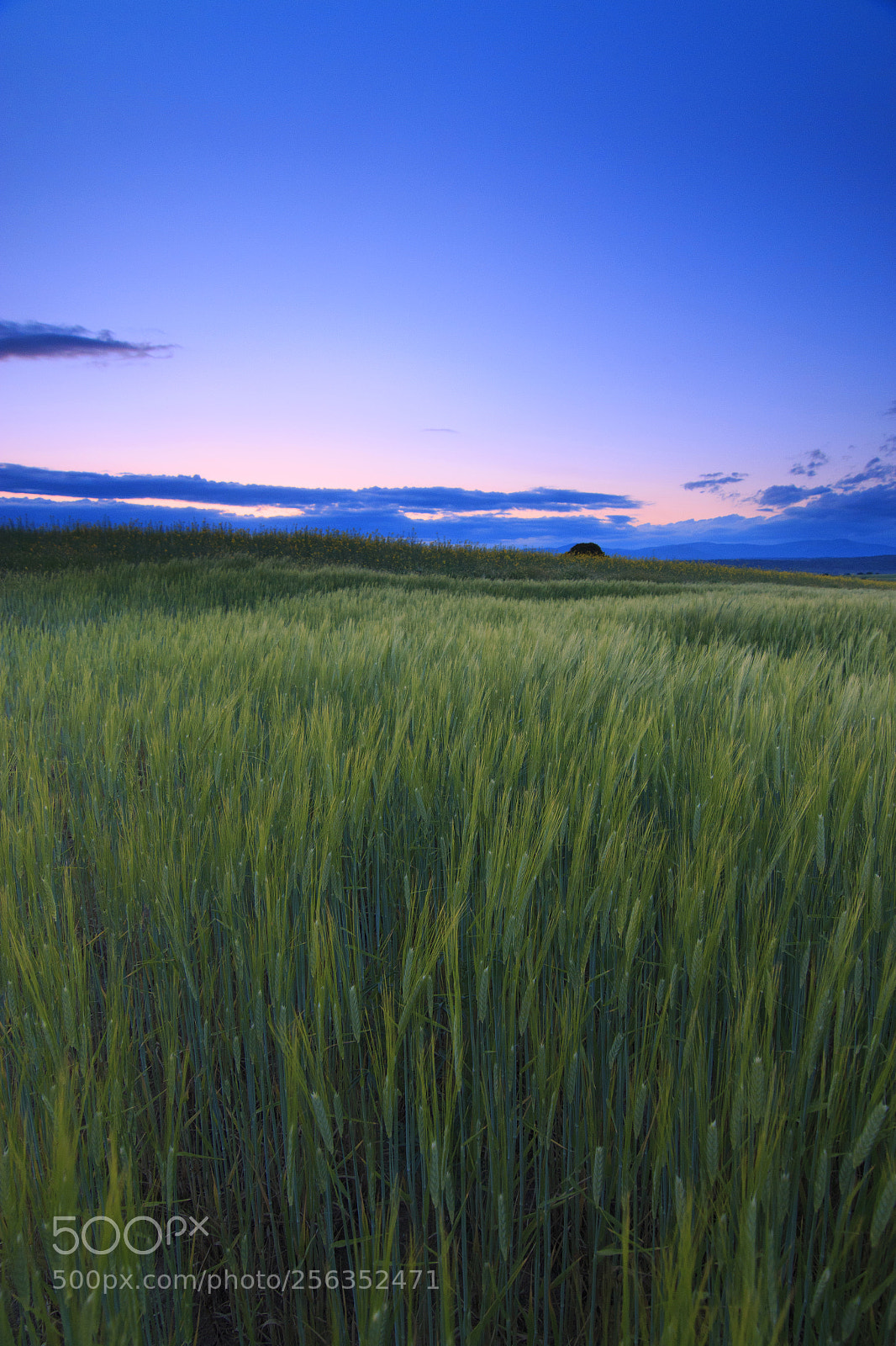 Canon EOS 70D sample photo. Peaceful landscape photography