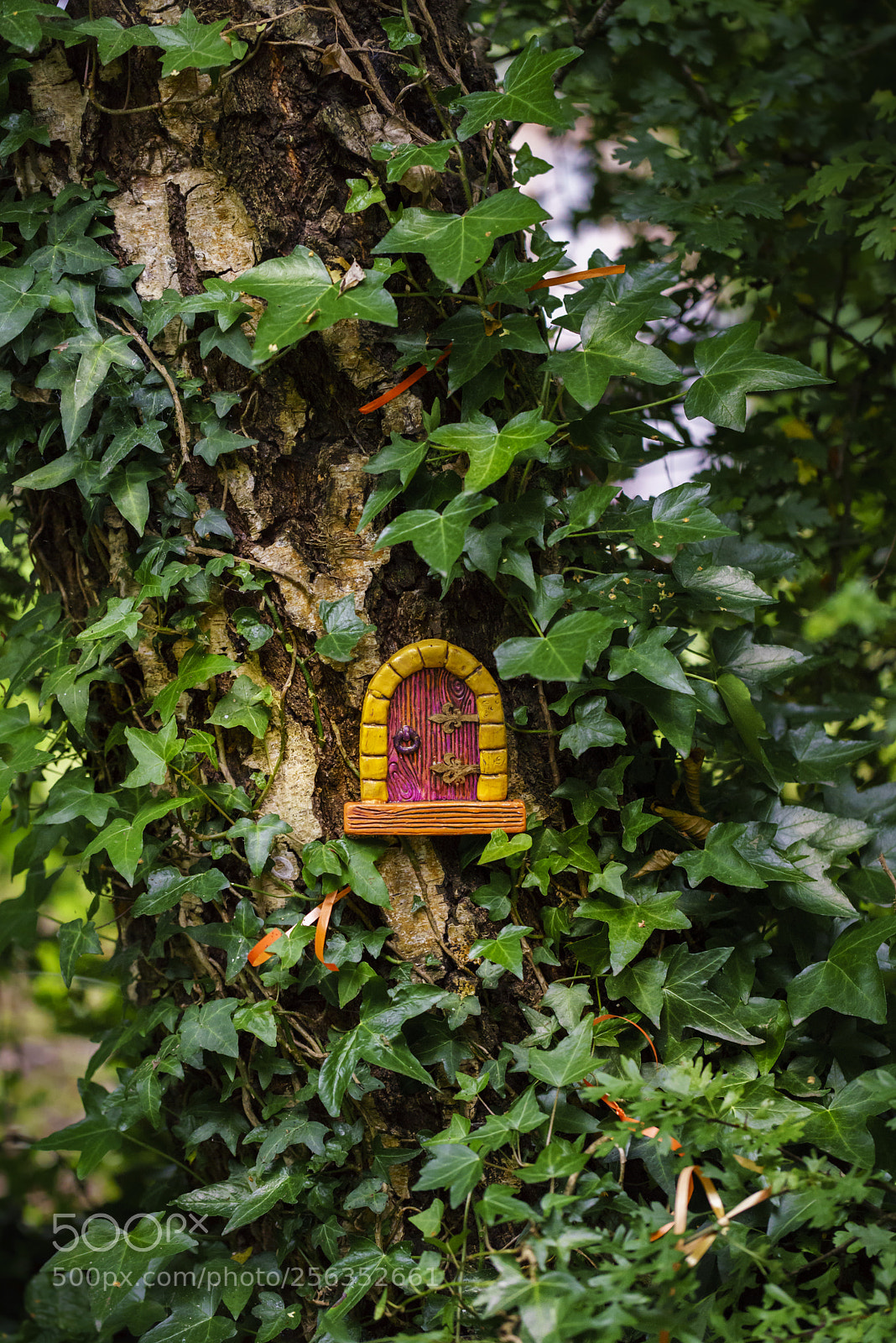 Sony a7R sample photo. Queen mab's treehouse photography