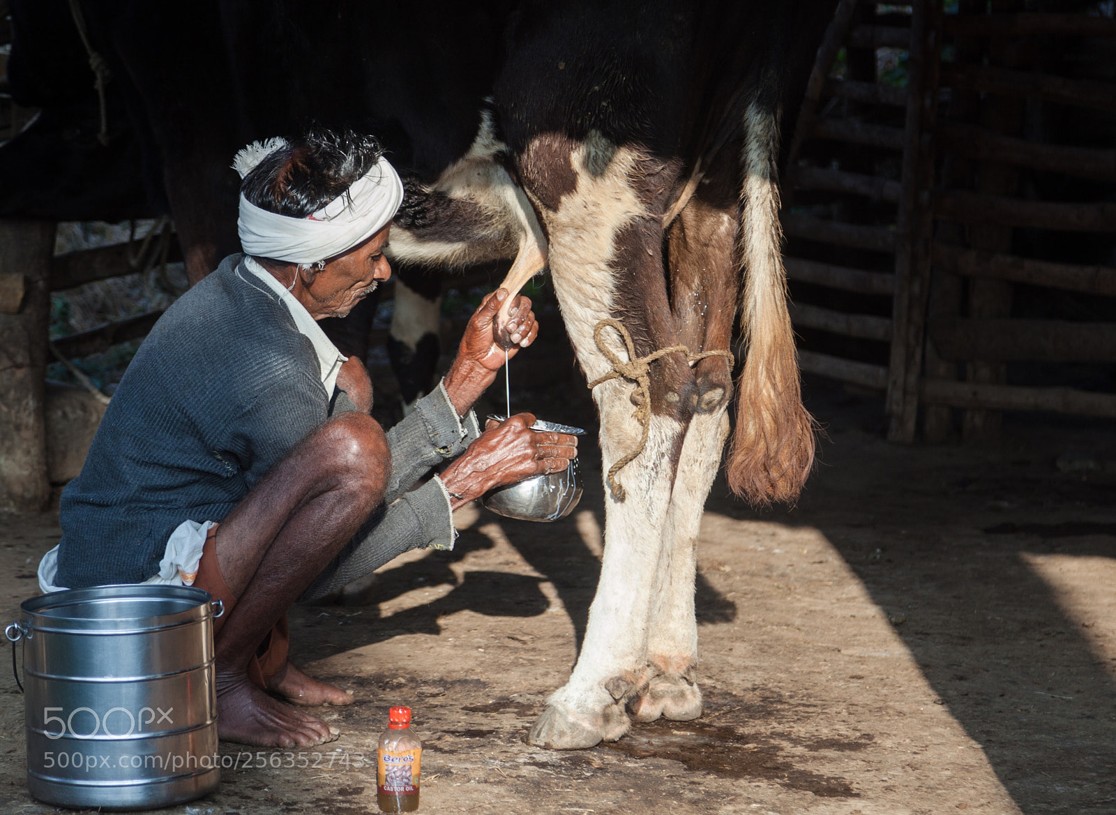 Canon EOS 5D Mark II sample photo. Hands on teats to photography