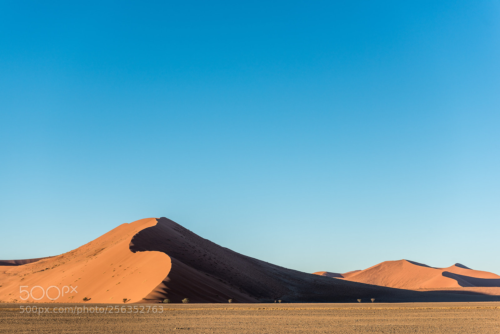 Nikon D810 sample photo. Red dunes photography