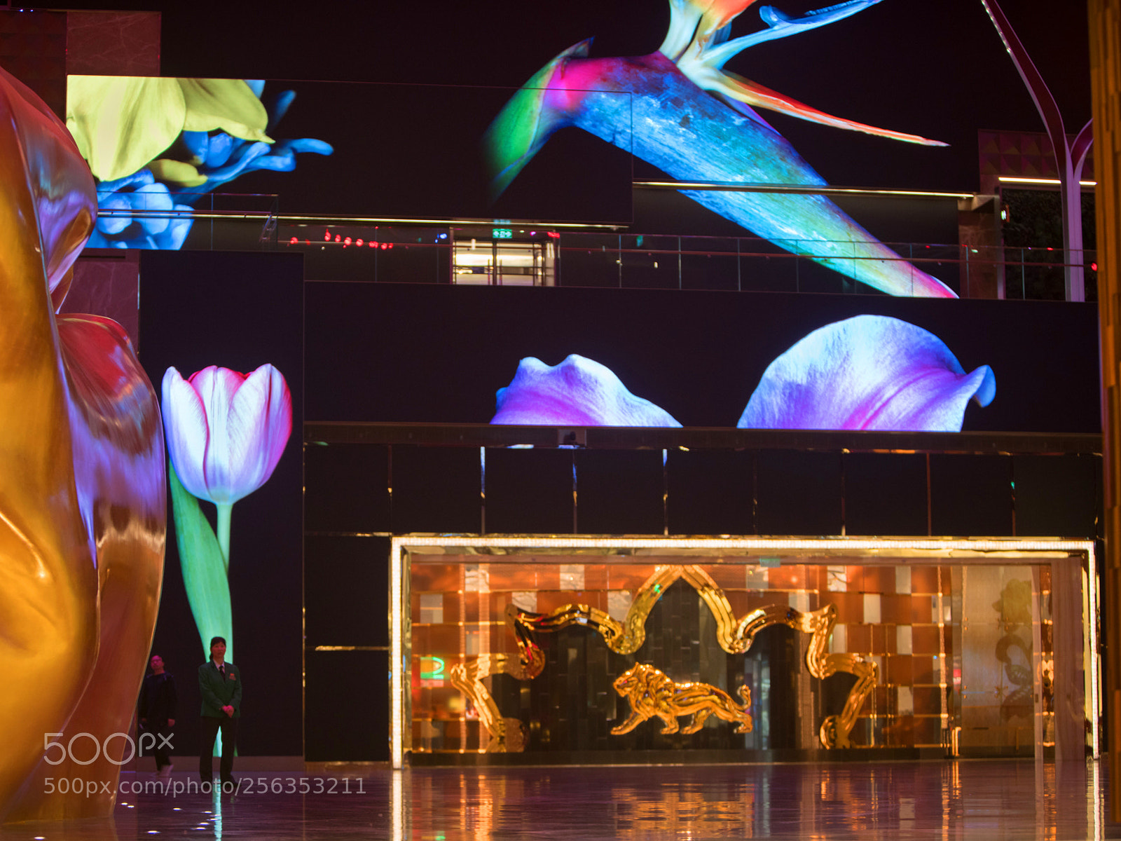 Sony a7R III sample photo. Exhibition... magda indigo photography