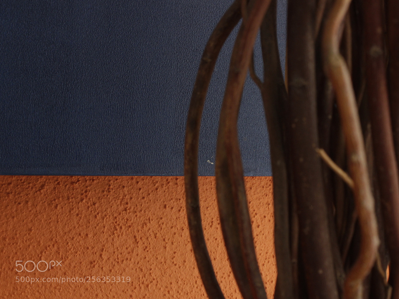 Canon EOS 600D (Rebel EOS T3i / EOS Kiss X5) sample photo. Orange crust photography