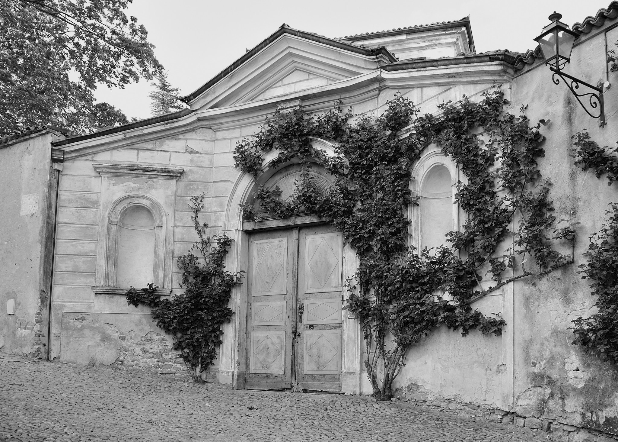 Nikon D3000 + Sigma 17-70mm F2.8-4 DC Macro OS HSM | C sample photo. Monforte langhe photography