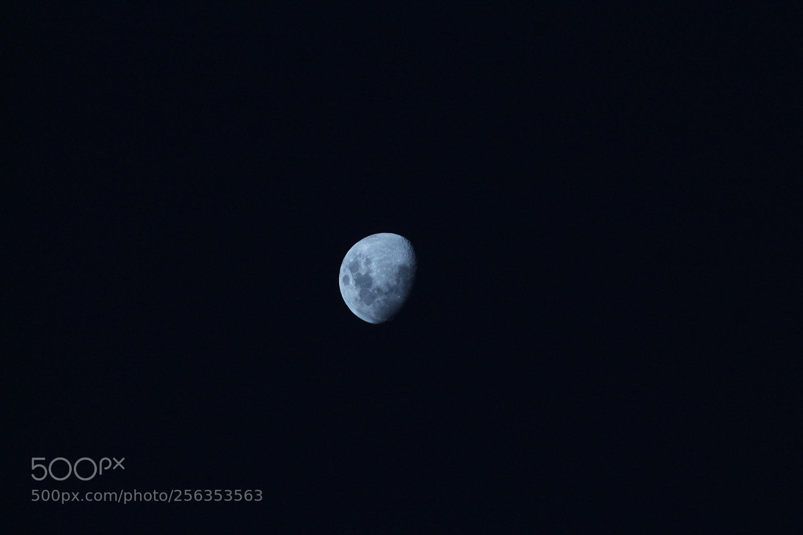 Canon EF 75-300mm f/4-5.6 sample photo. Untitled photography