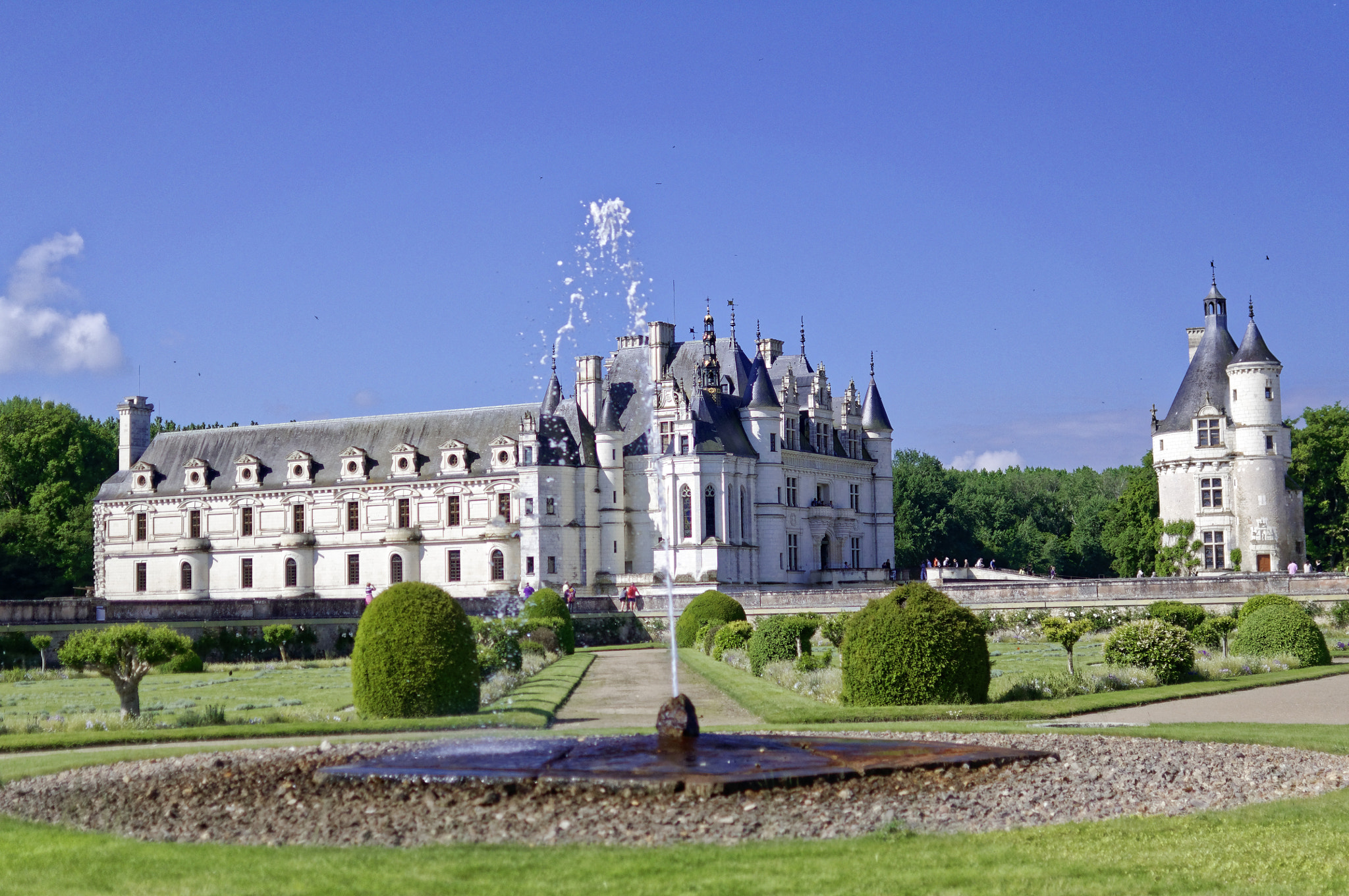 Nikon AF-S DX Nikkor 35mm F1.8G sample photo. Château de chenonceau photography