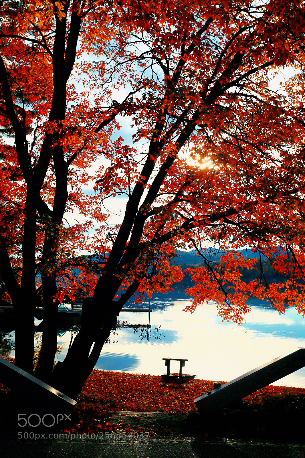 Canon EOS-1D X sample photo. Fall lsake scene photography