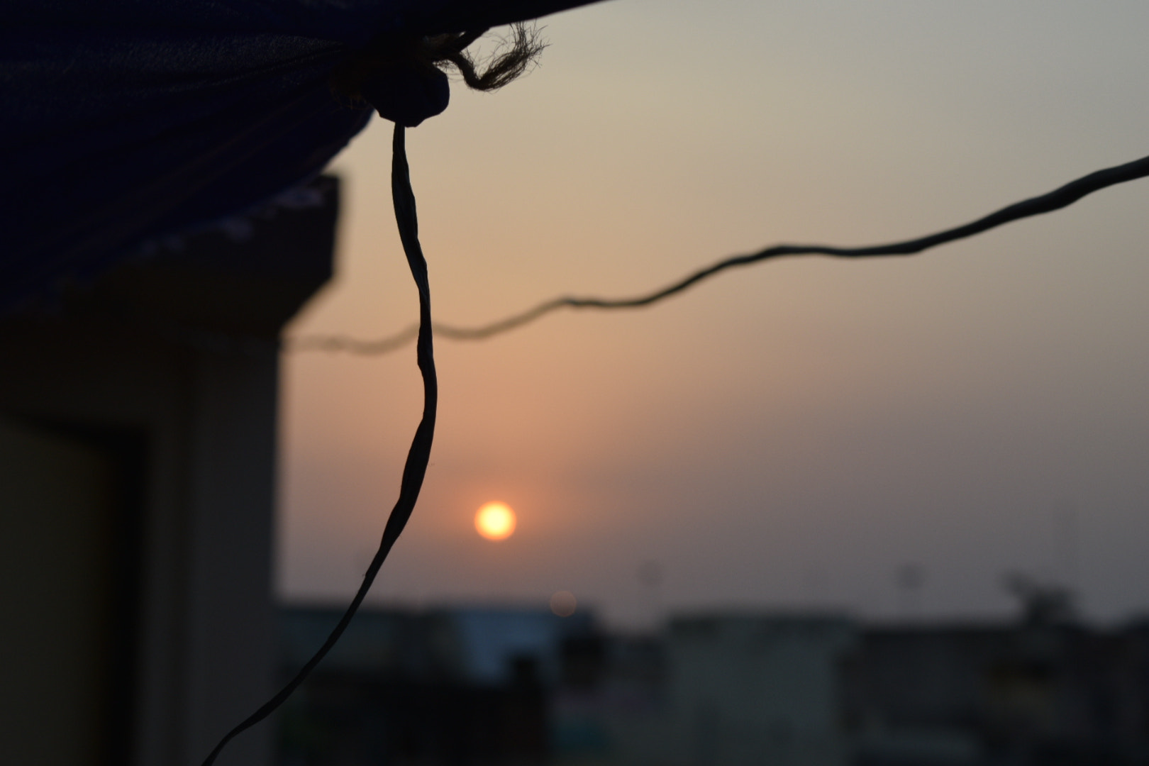 Nikon D5300 sample photo. Peace❤ photography