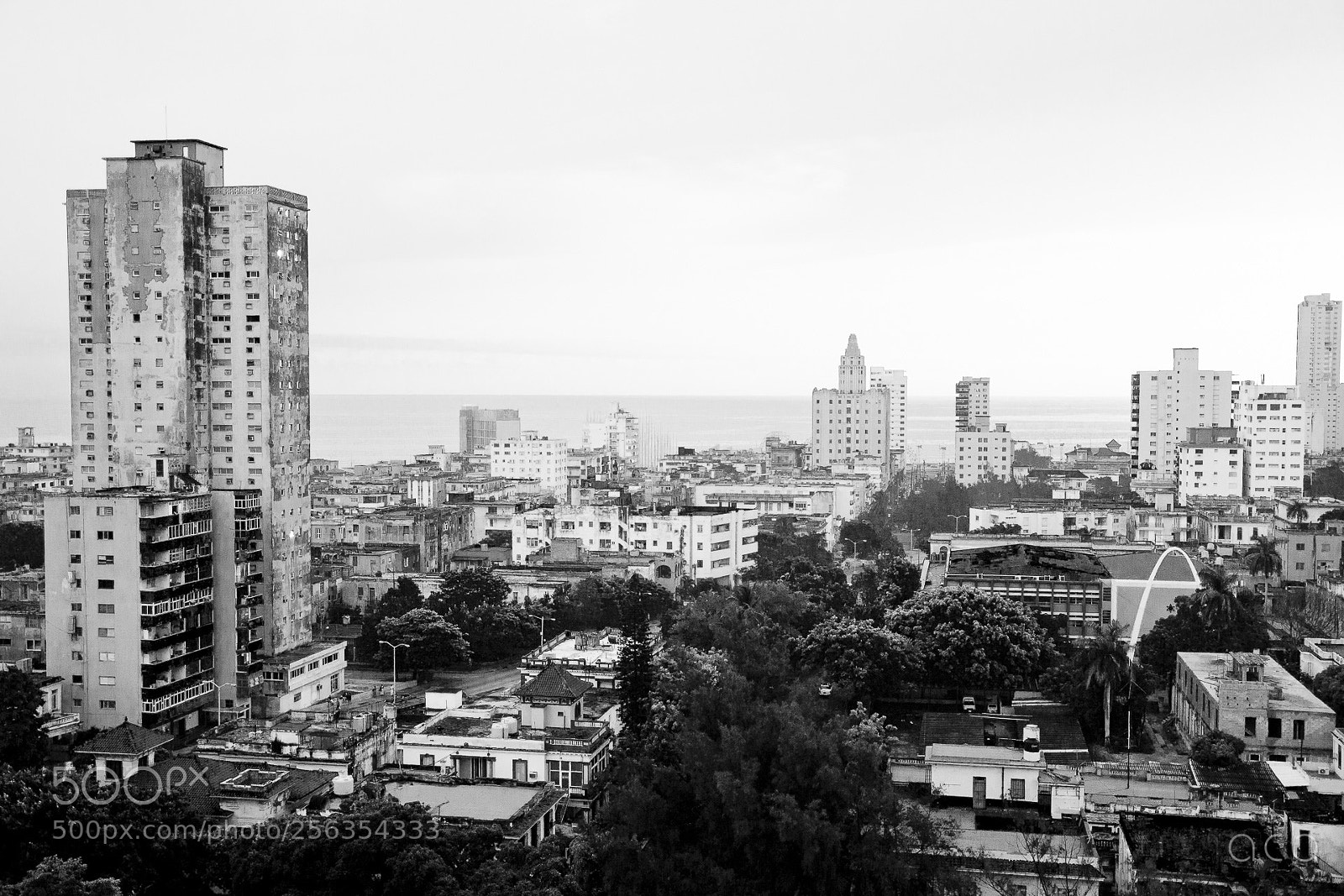 Nikon D3100 sample photo. Untitled photography