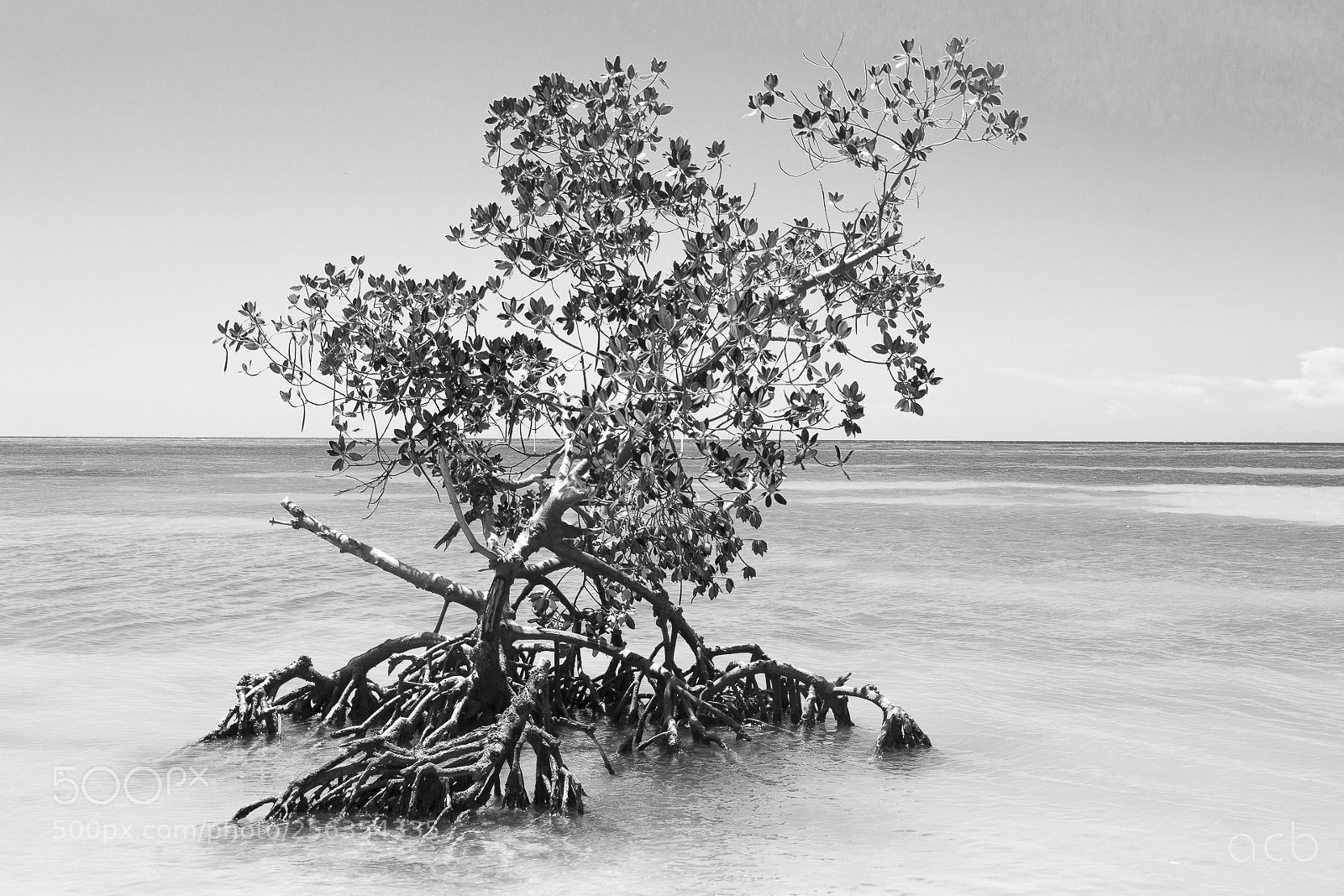 Nikon D3100 sample photo. Untitled photography