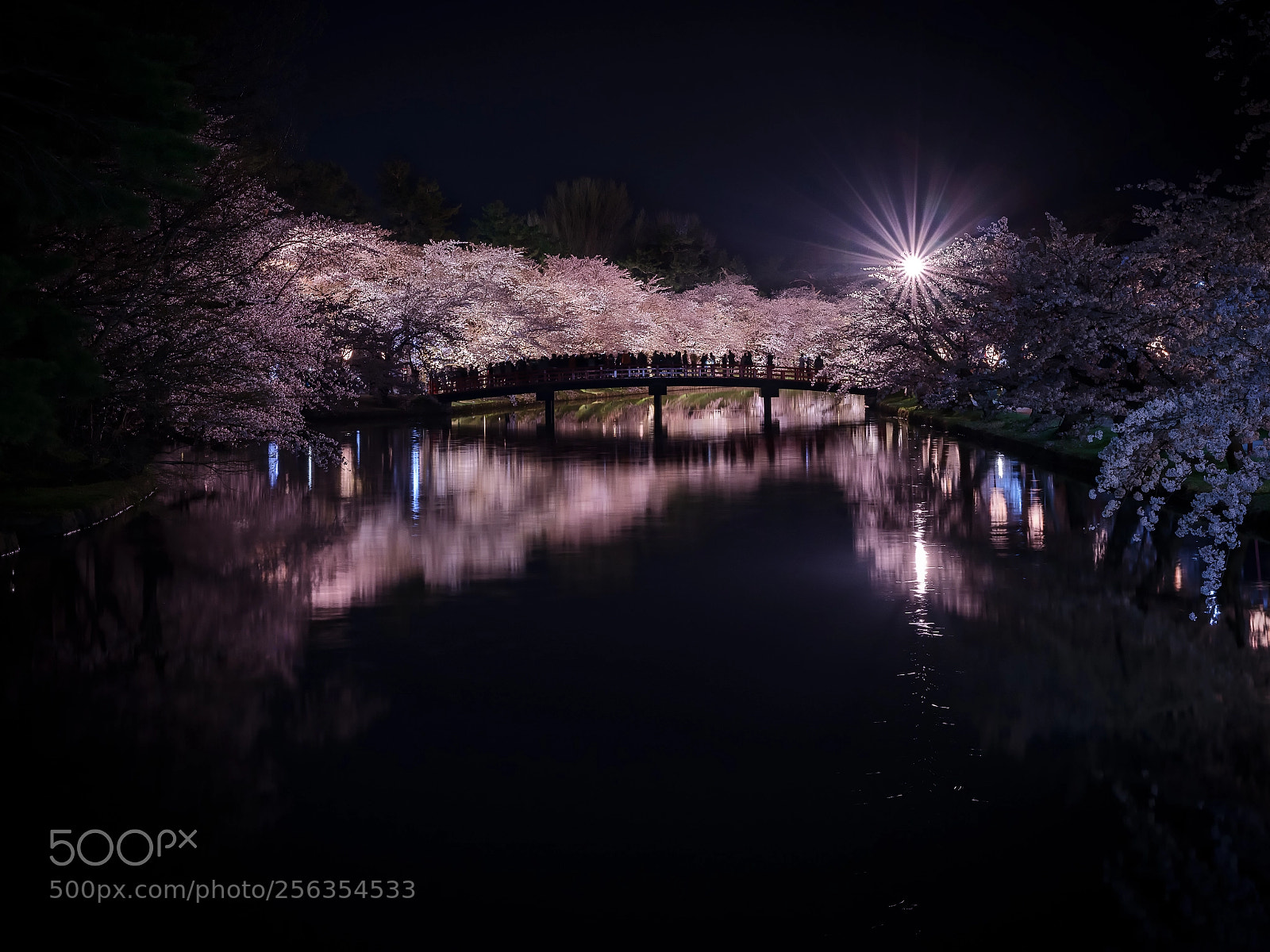 Fujifilm GFX 50S sample photo. Night reflection photography