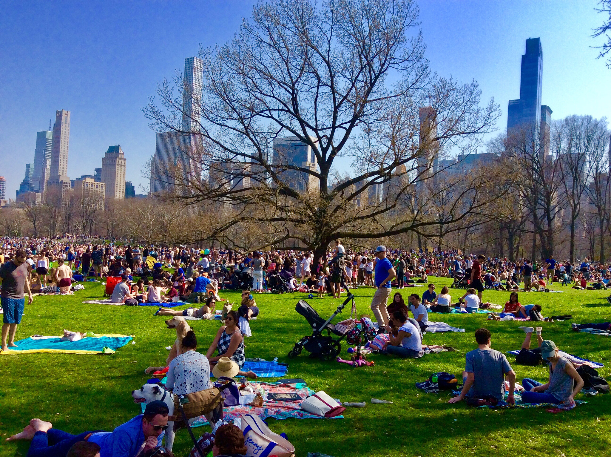 Apple iPad mini 2 sample photo. Pick nick in the big apple photography