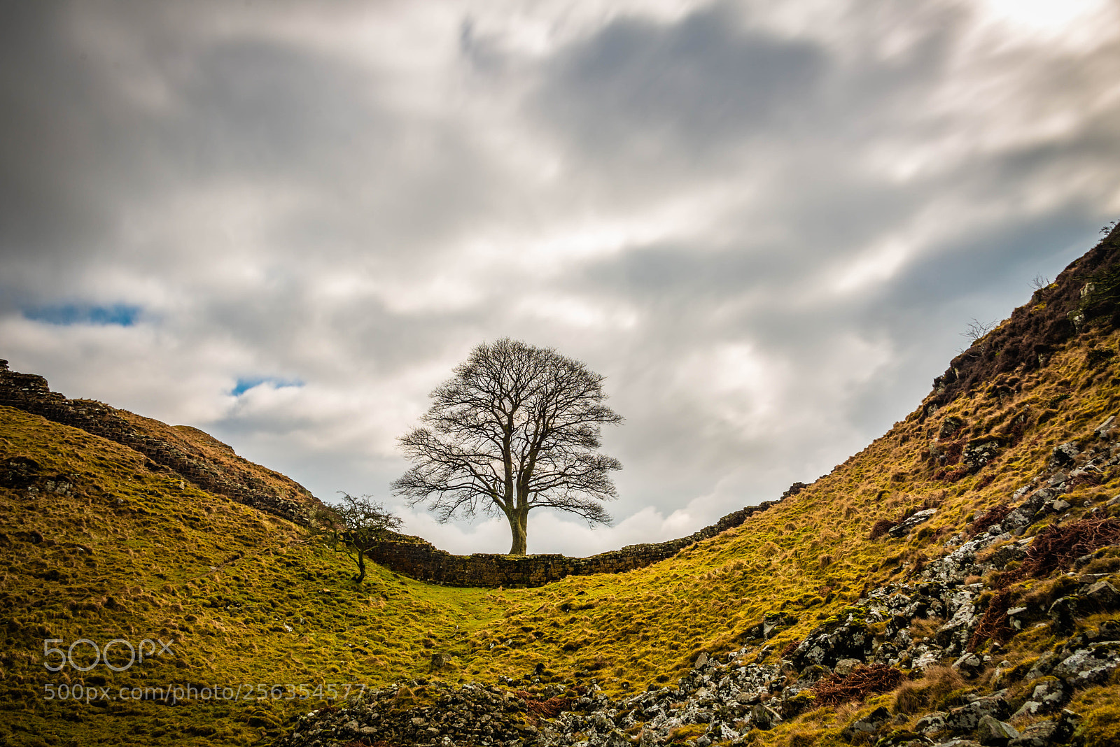 Nikon D610 sample photo. Sycamore gap photography