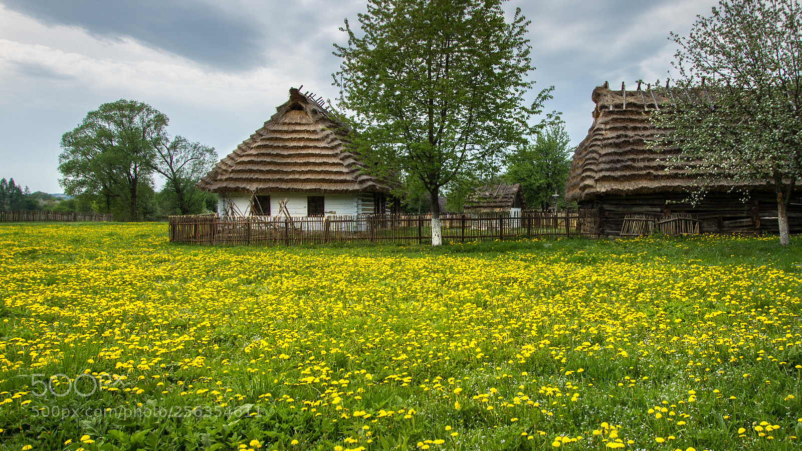 Canon EOS 600D (Rebel EOS T3i / EOS Kiss X5) sample photo. Skansen sanok v photography