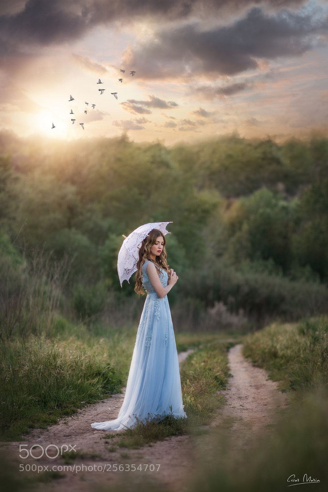 Nikon D800 sample photo. Princess of the mountain... photography