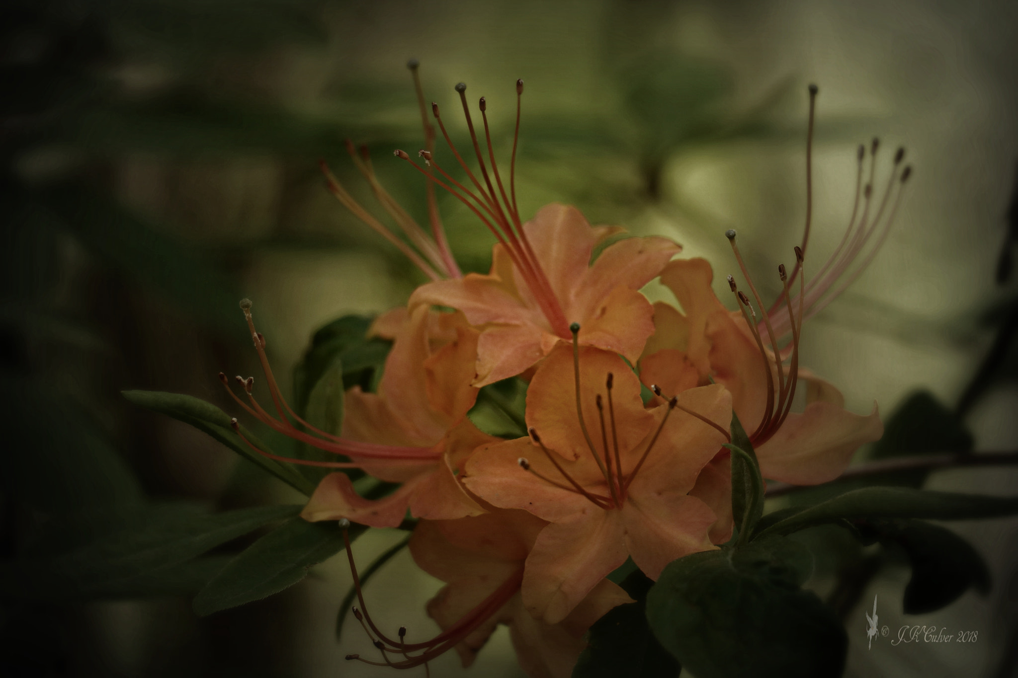 Canon EOS 77D (EOS 9000D / EOS 770D) sample photo. Changing seasons photography