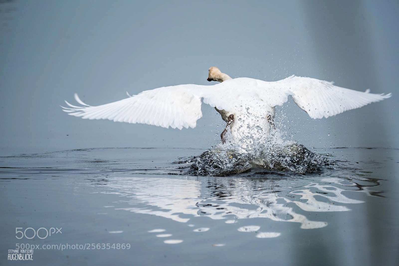 Nikon D750 sample photo. Ready to take off photography