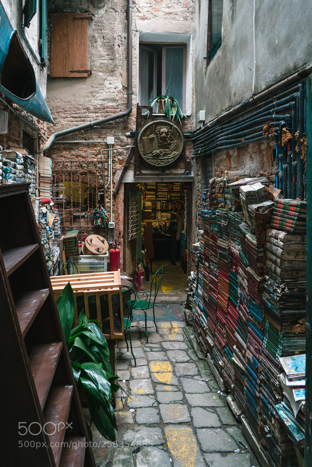 Sony a7R II sample photo. Library photography