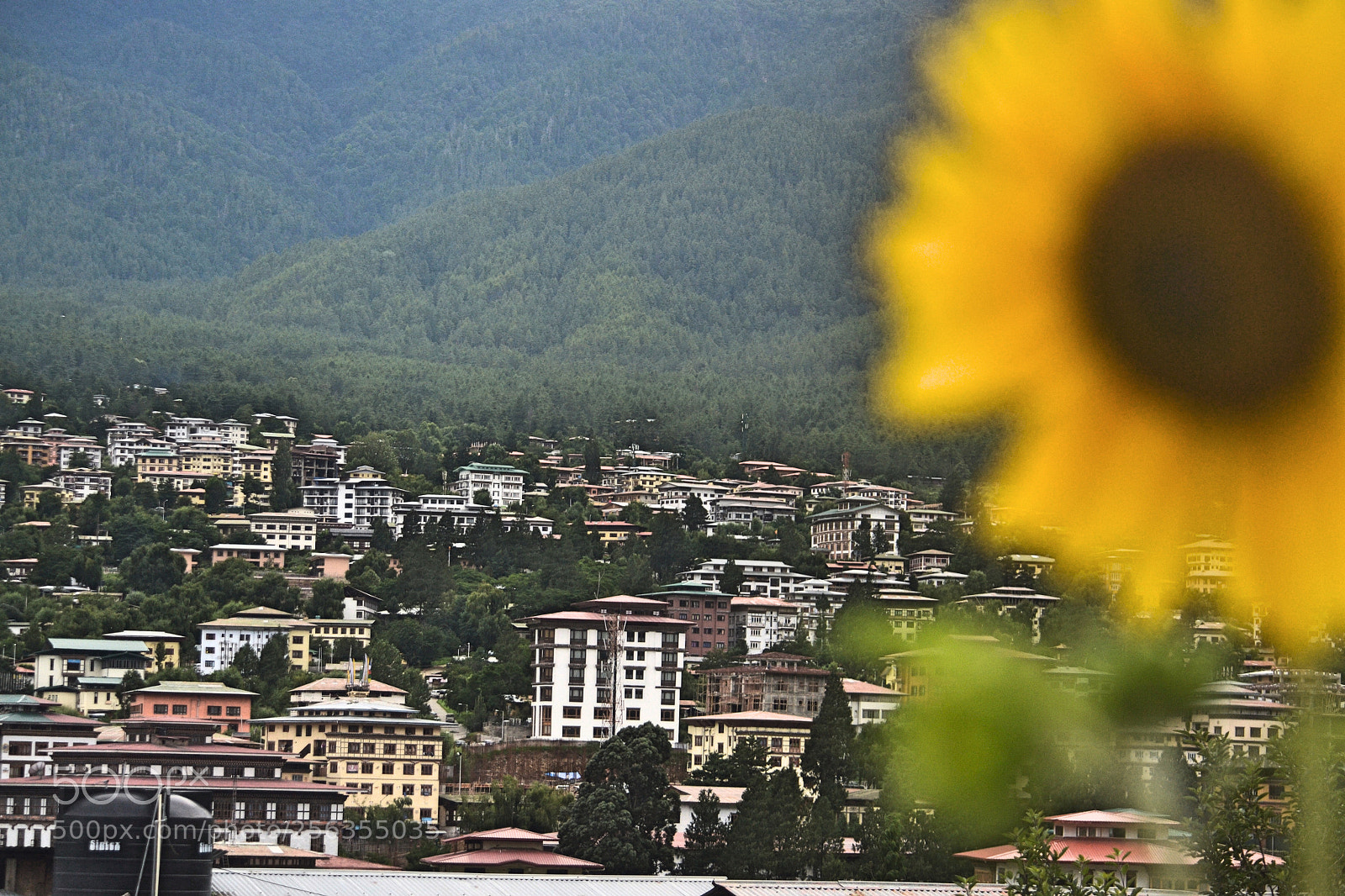 Nikon D3100 sample photo. Bhutan view via sunflower photography