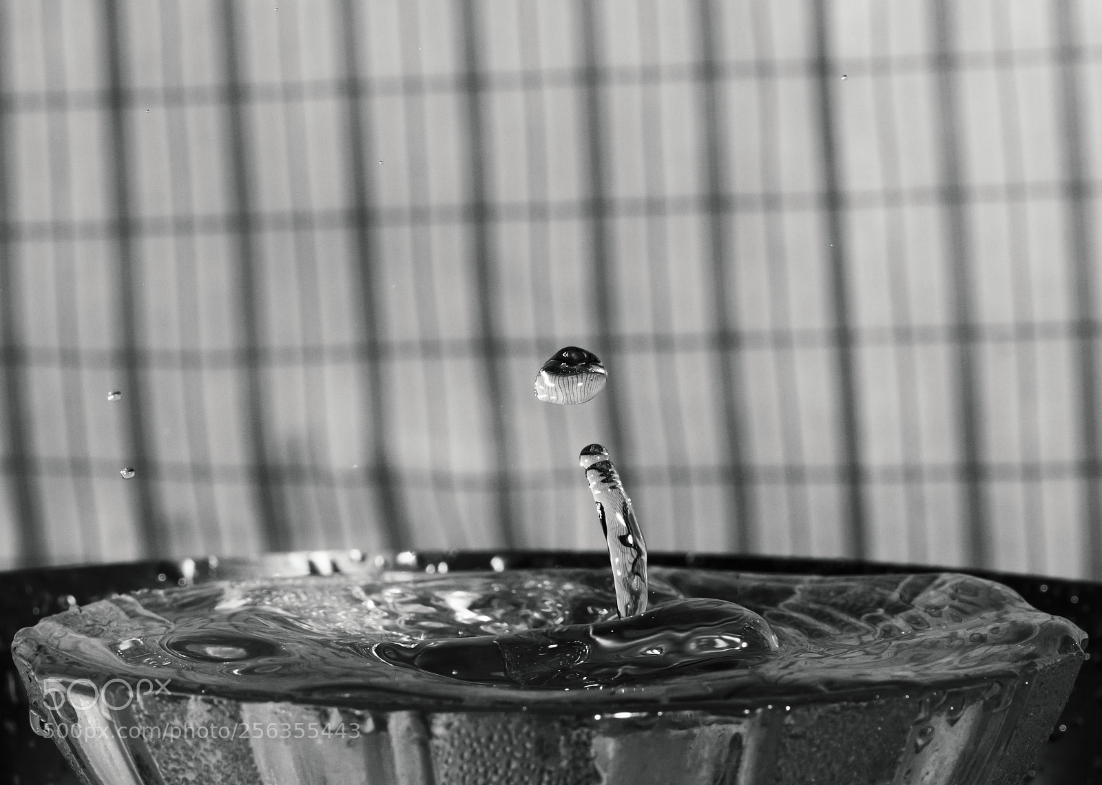 Nikon D3200 sample photo. The rebound photography