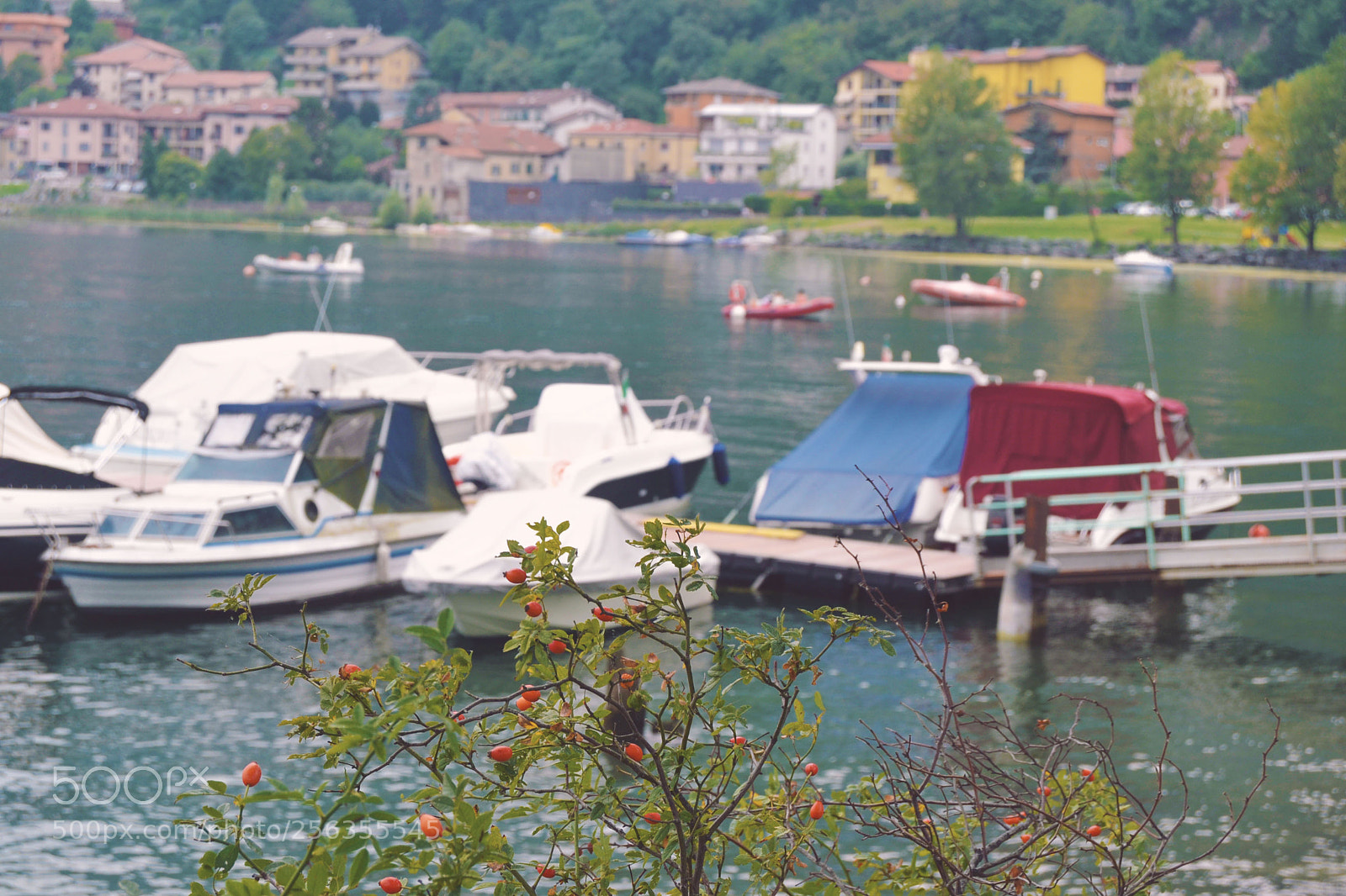 Nikon D3100 sample photo. Pescate ~ photography