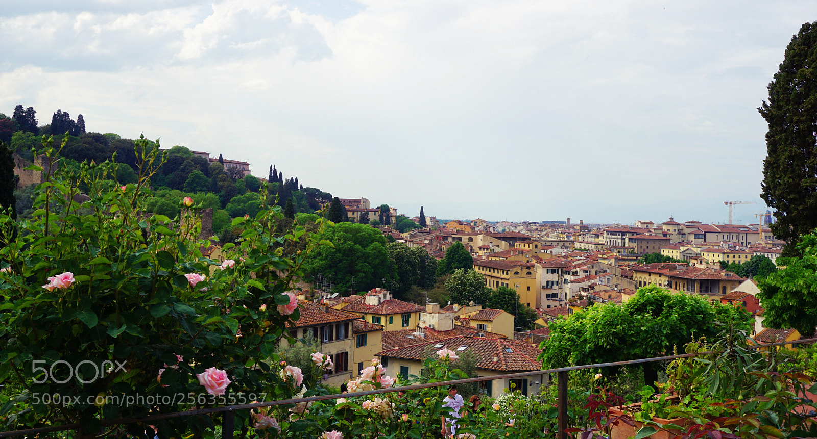 Sony a6000 sample photo. Giardino delle rose, firenze photography