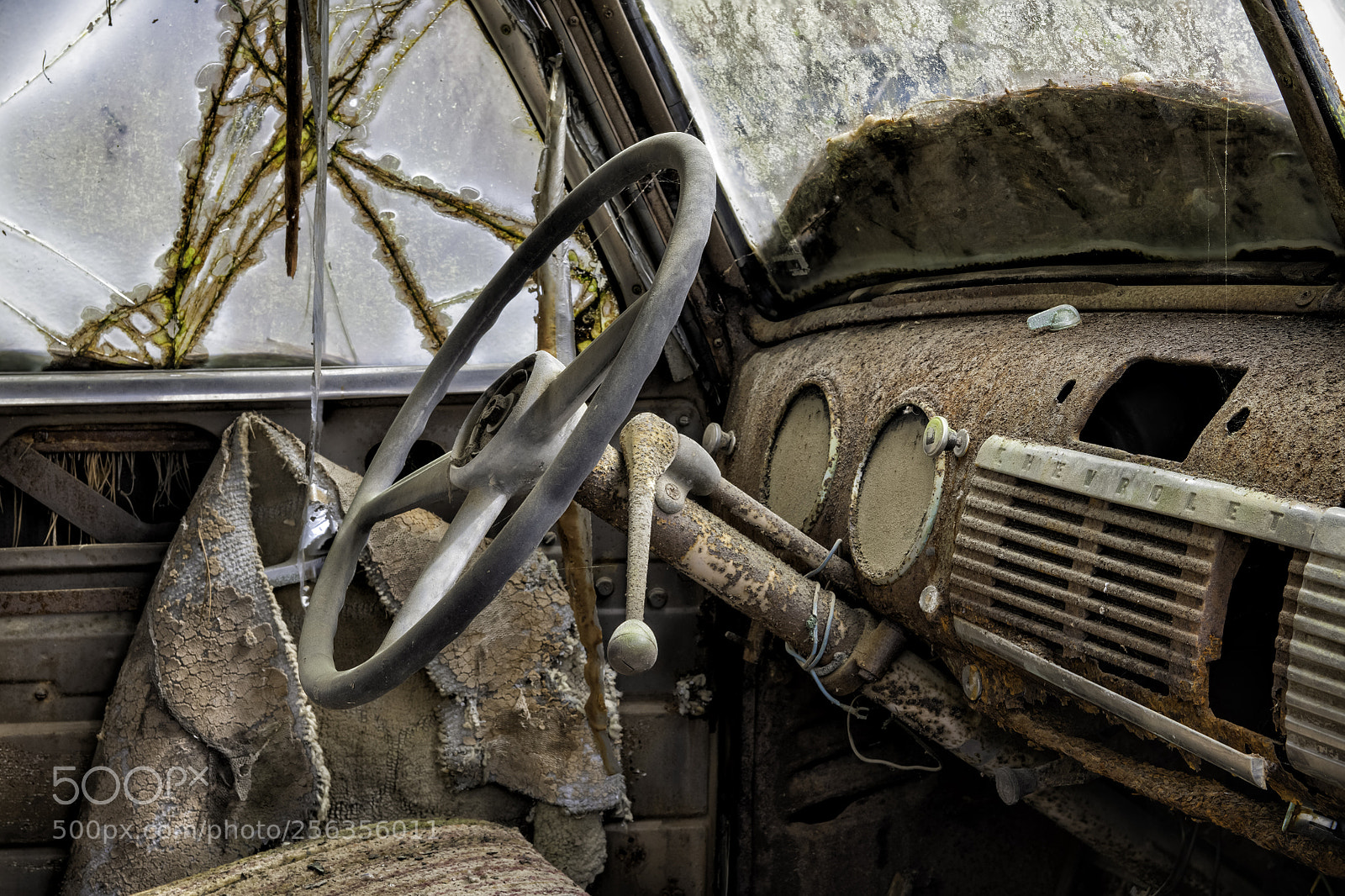 Nikon D850 sample photo. Just hop in... photography