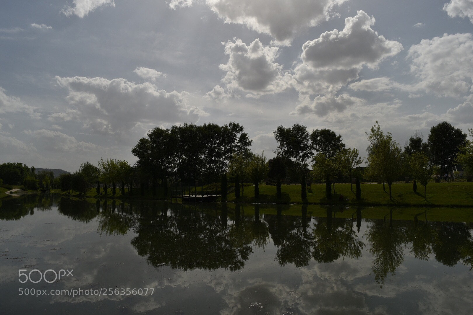 Nikon D5500 sample photo. Untitled photography
