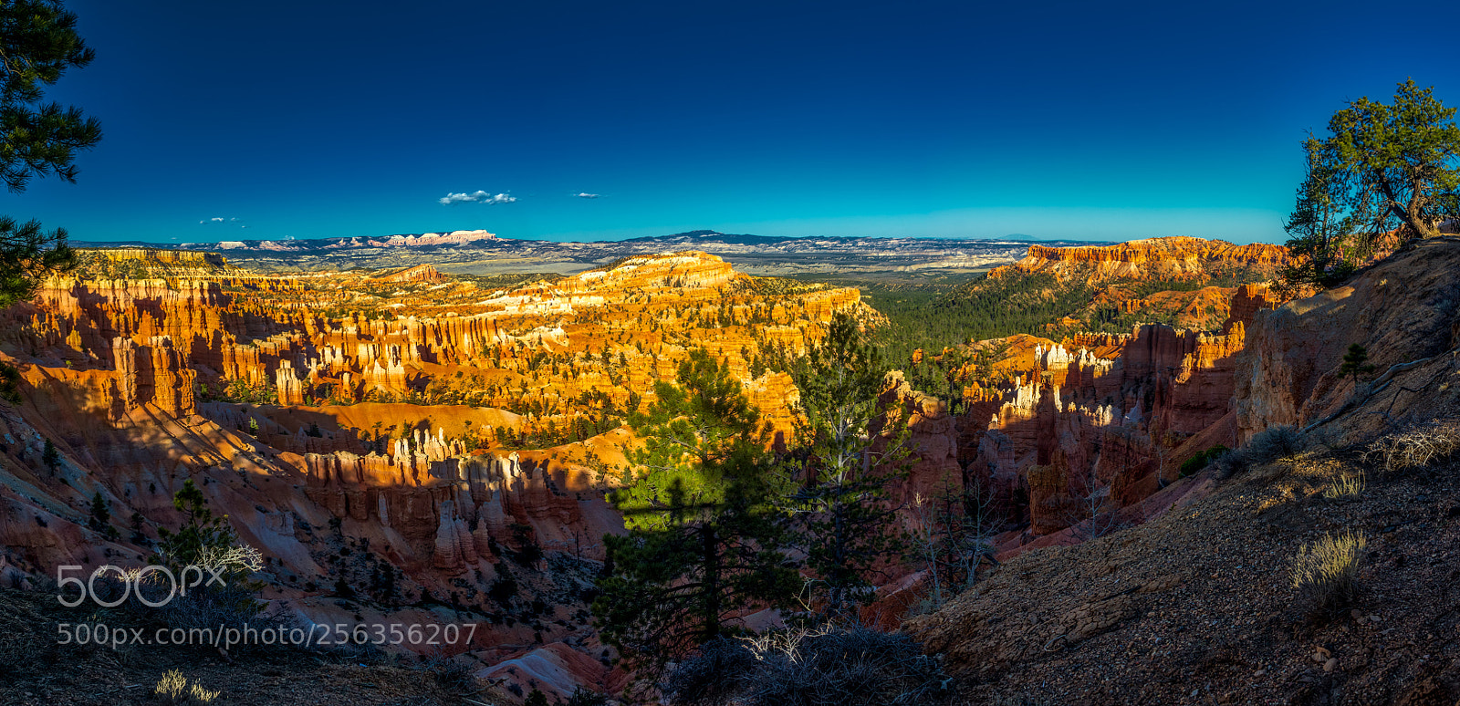 Pentax K-3 II sample photo. Bryce canyon national park photography