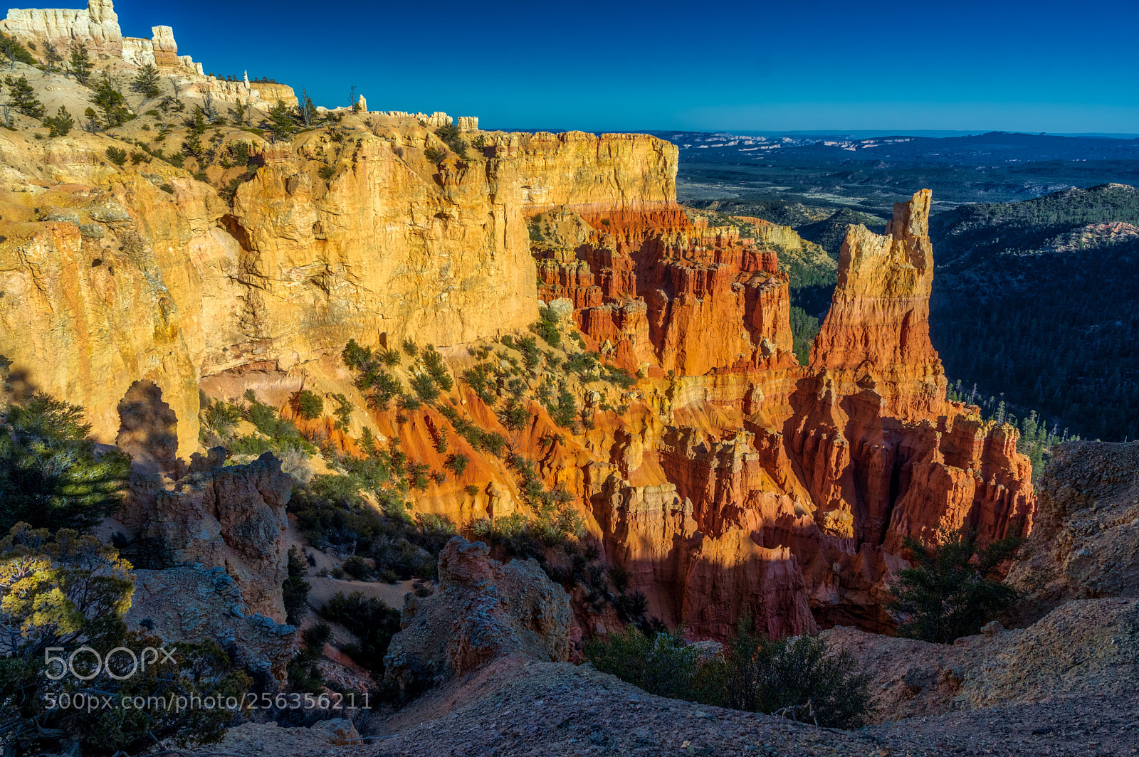 Pentax K-3 II sample photo. Bryce canyon national park photography