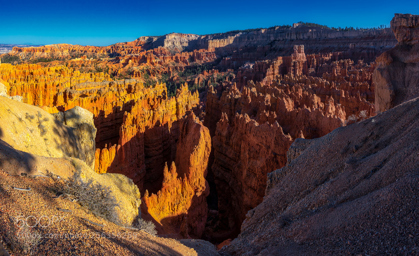 Pentax K-3 II sample photo. Bryce canyon national park photography
