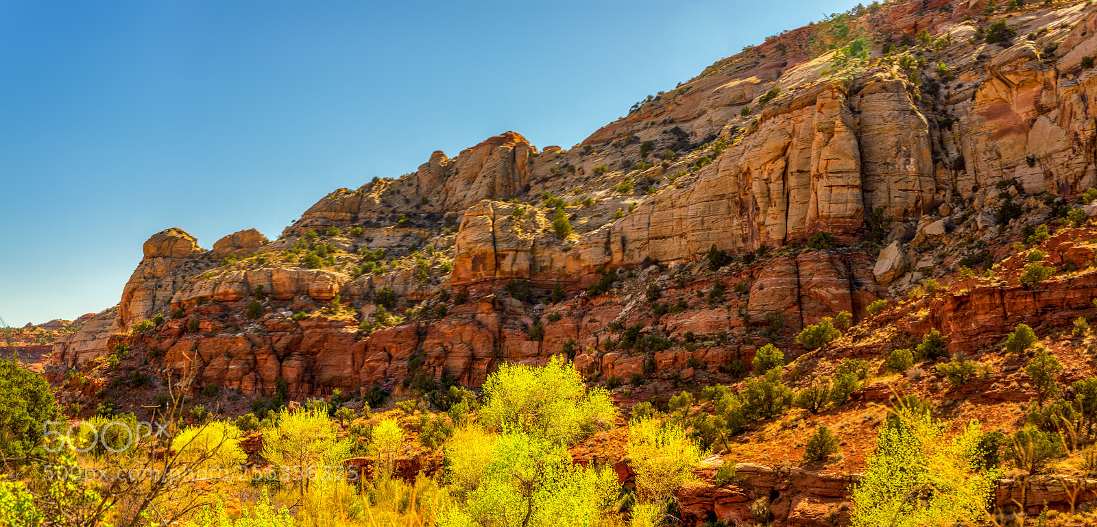 Pentax K-3 II sample photo. Capitol reef photography