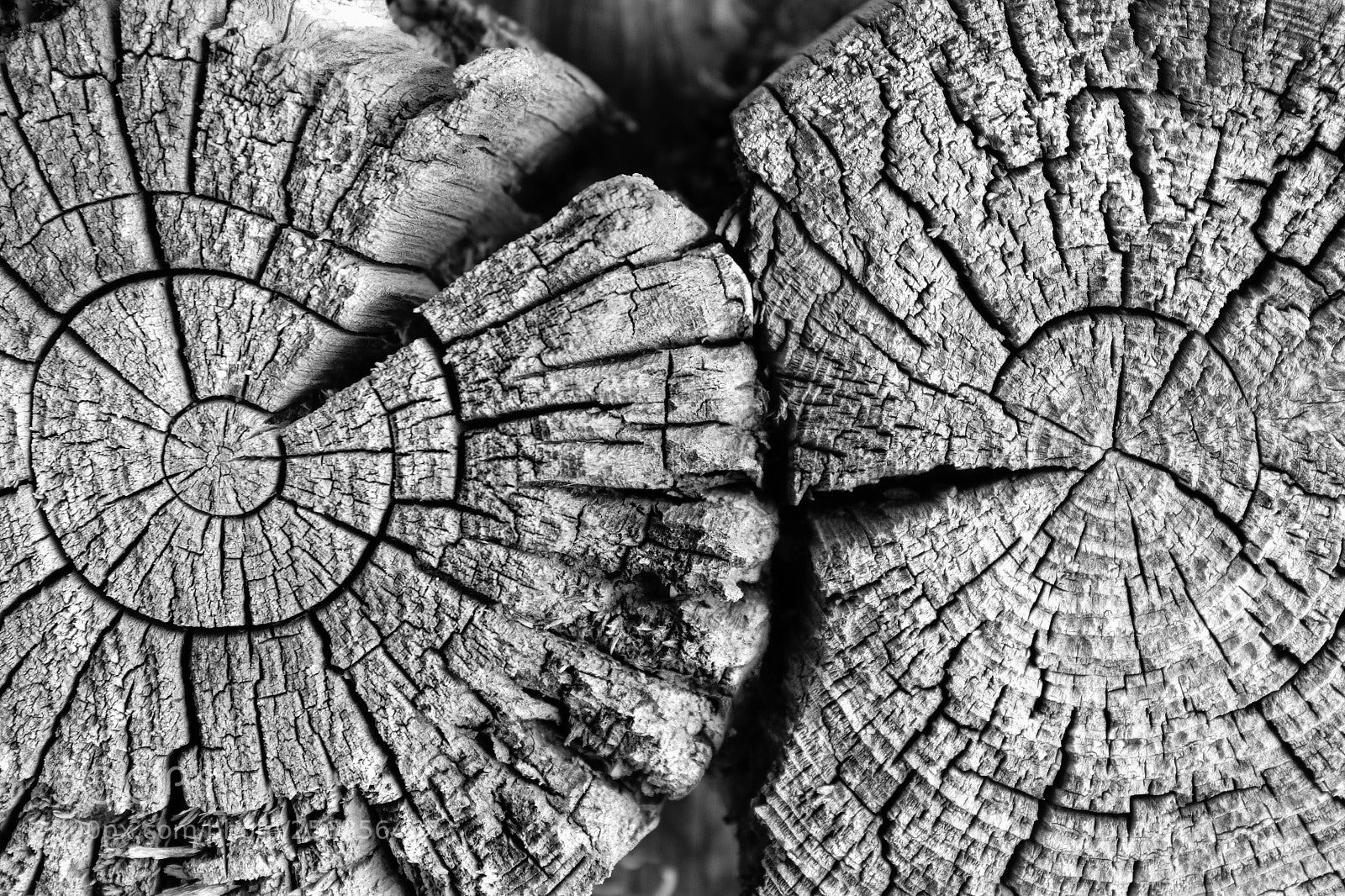 Canon EOS 7D sample photo. Circles photography