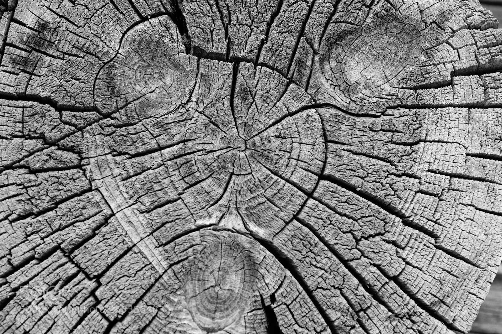 Canon EOS 7D sample photo. Texture photography