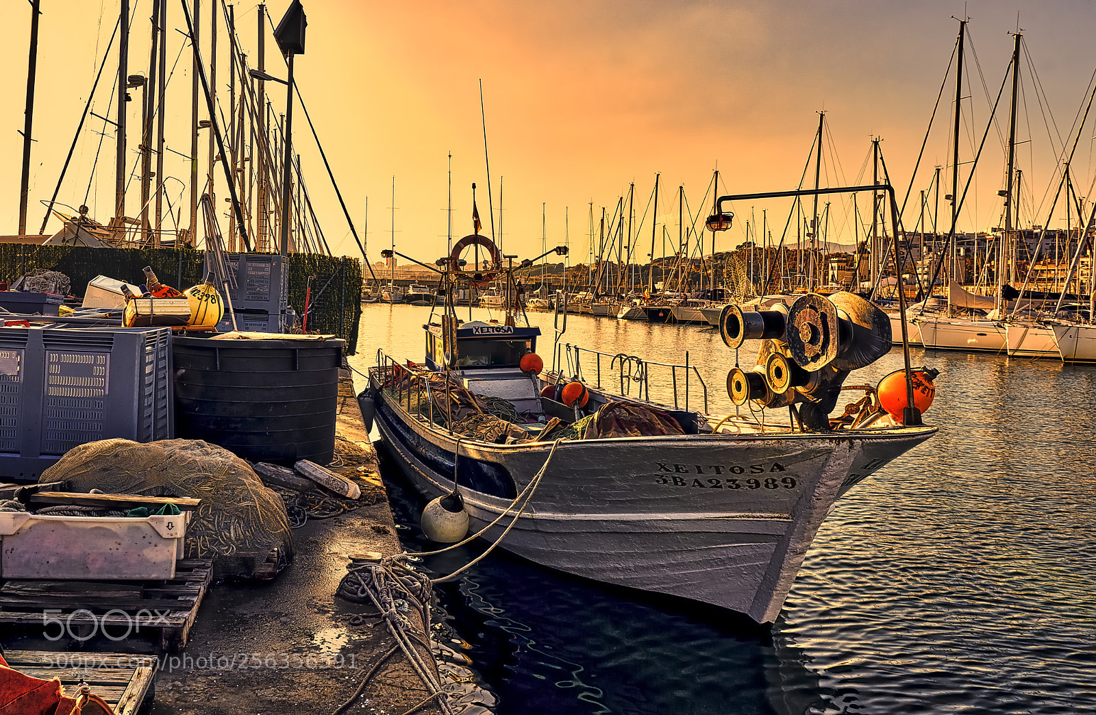 Sony a7R II sample photo. Xeitosa photography