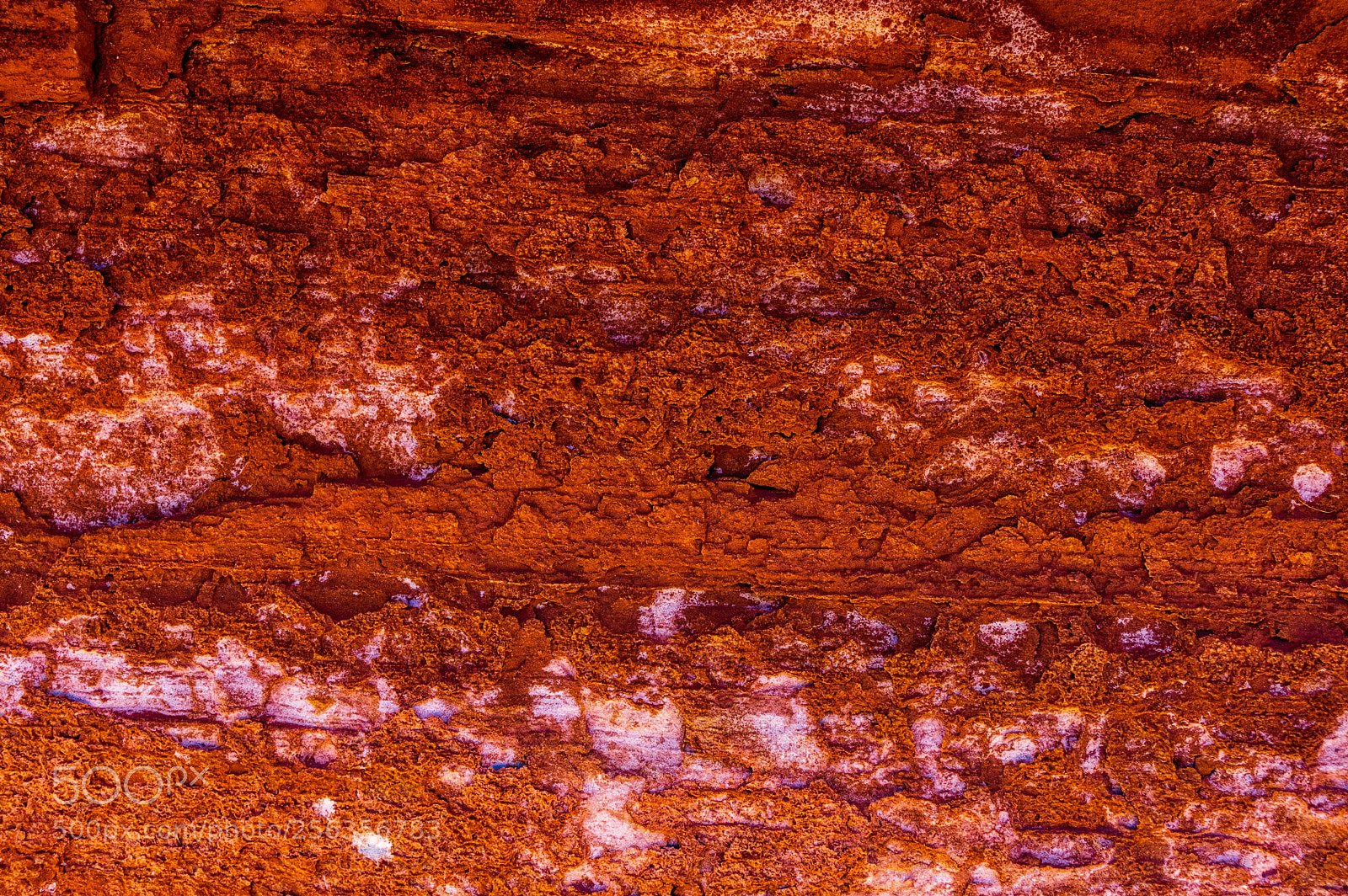 Pentax K-3 II sample photo. Capitol reef photography
