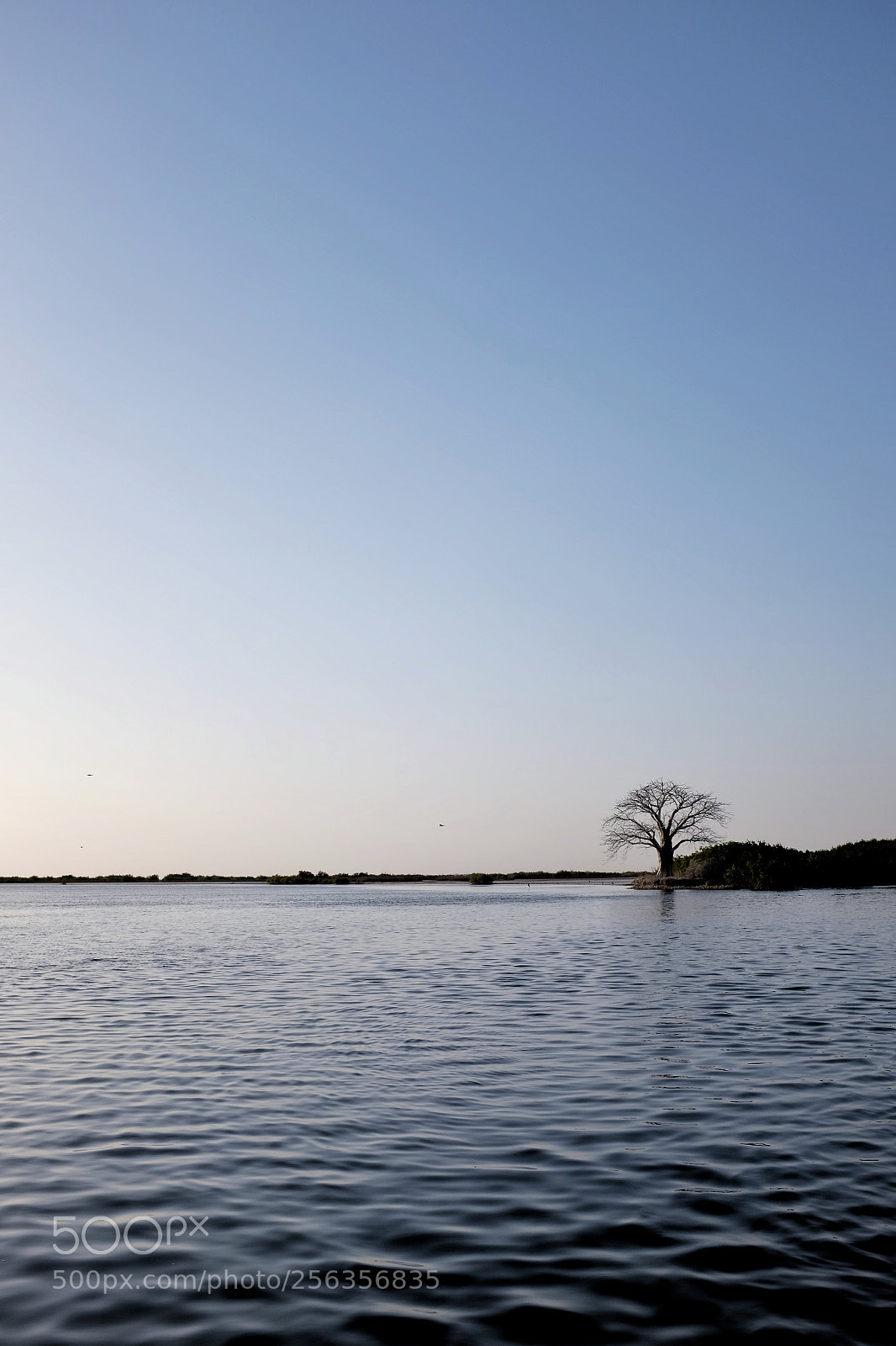 Fujifilm X100S sample photo. Untitled photography