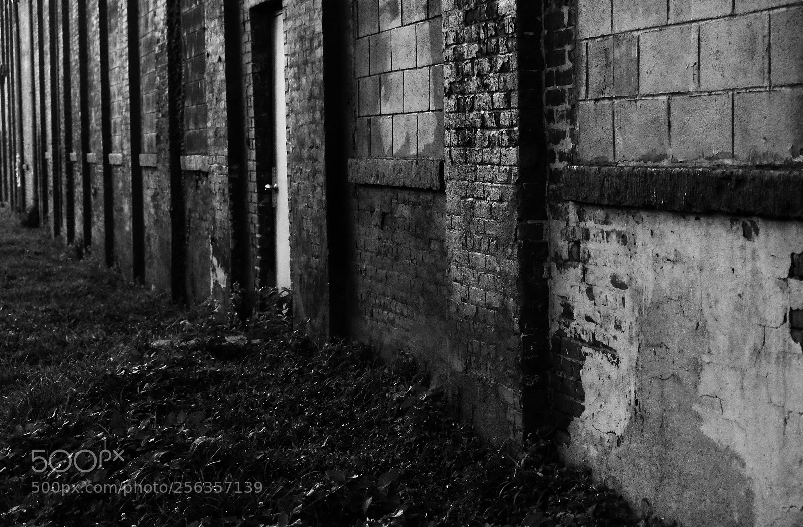 Fujifilm X-T1 sample photo. Red wall b&w photography