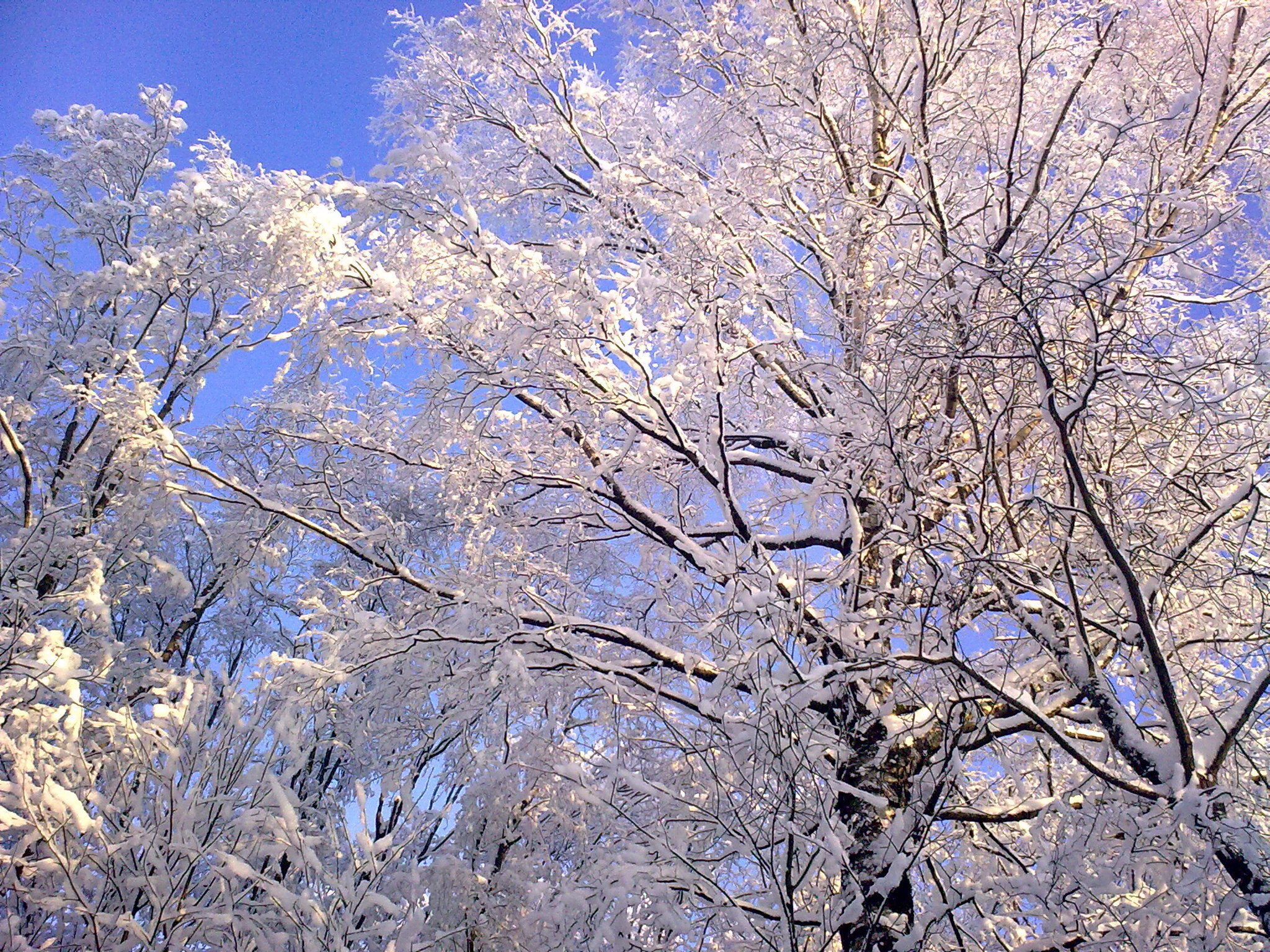 Nokia 5800 Xpres sample photo. Winter photography
