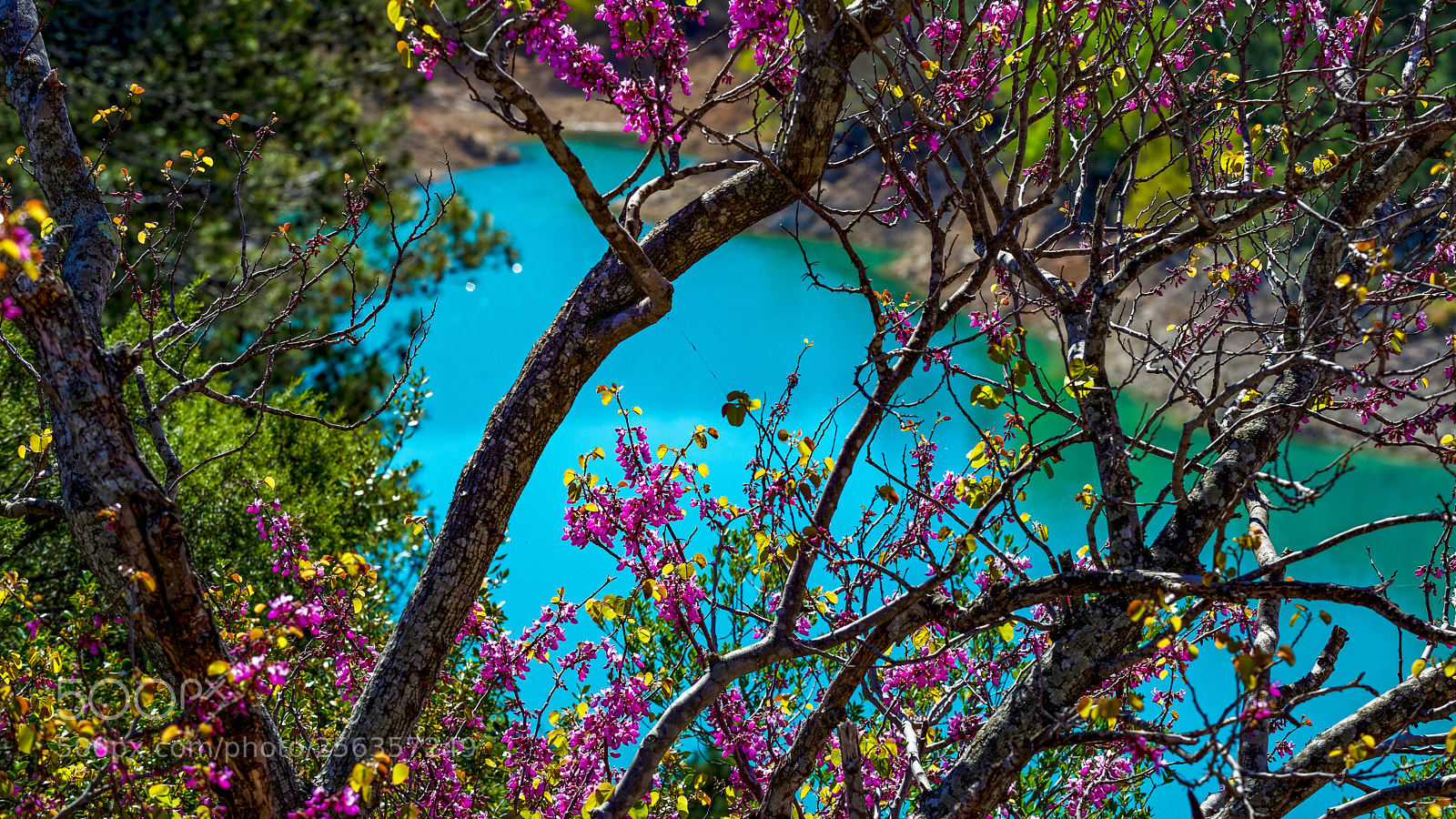 Nikon D800 sample photo. Landscape of provence # 5 photography