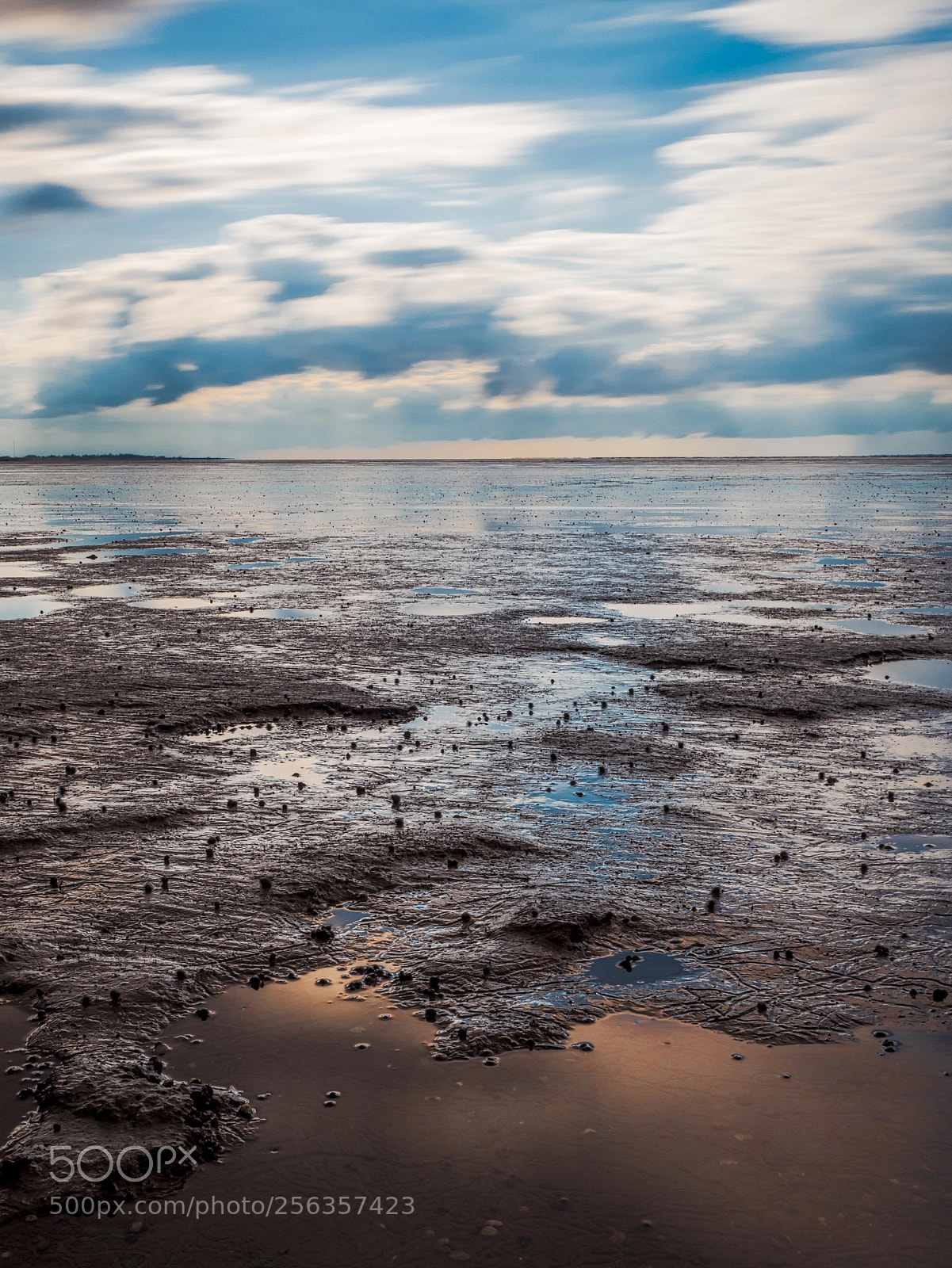 Olympus OM-D E-M1 Mark II sample photo. Low tide on a photography