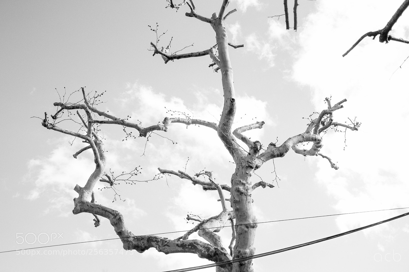 Nikon D3100 sample photo. Untitled photography