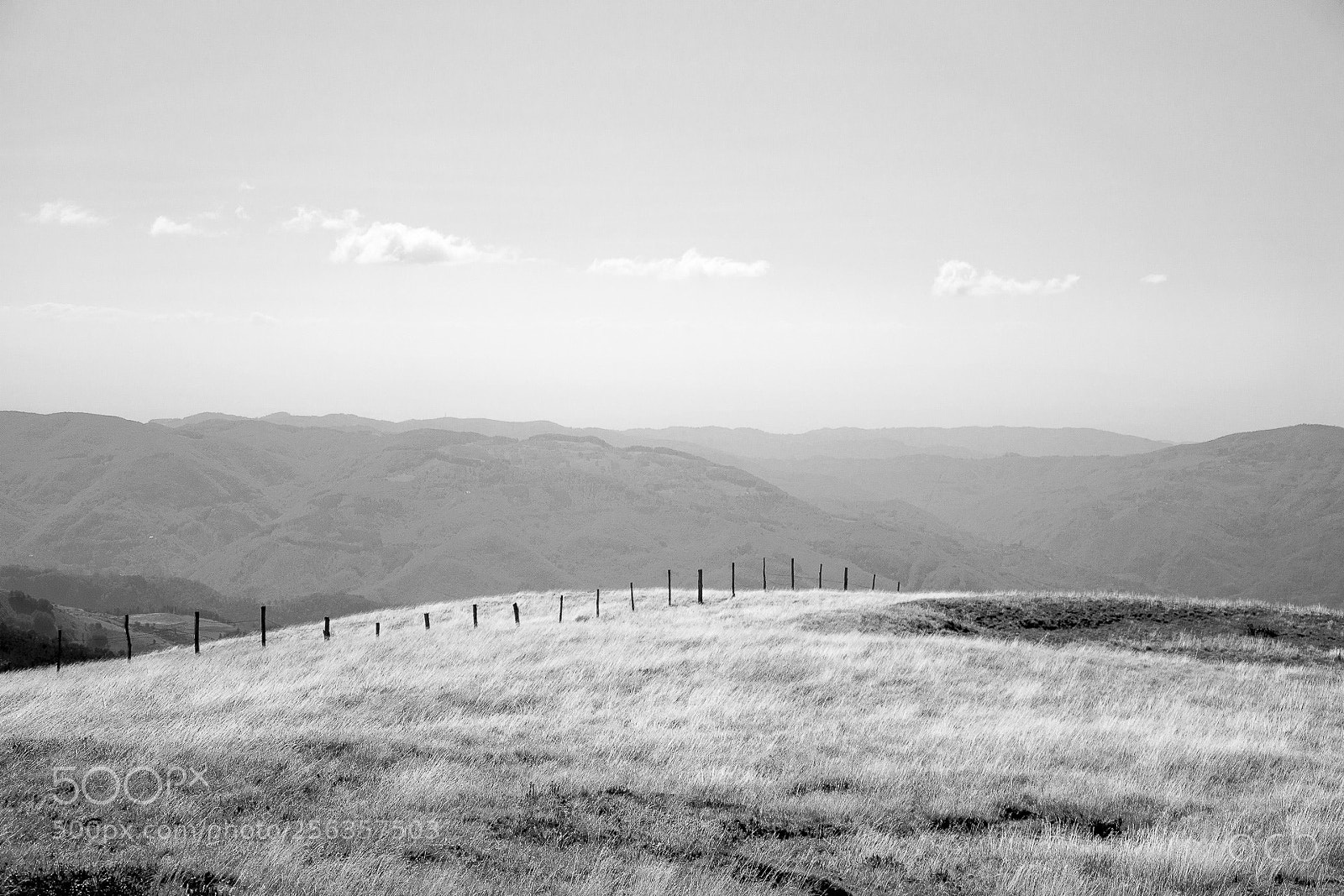 Nikon D3100 sample photo. Untitled photography