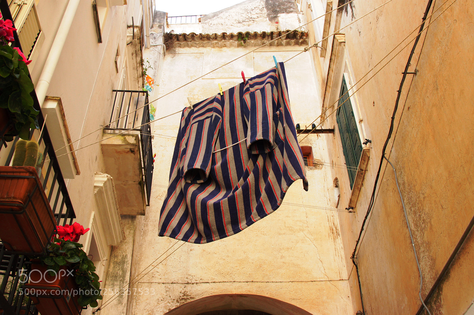 Canon EOS 500D (EOS Rebel T1i / EOS Kiss X3) sample photo. Street bathrobe photography