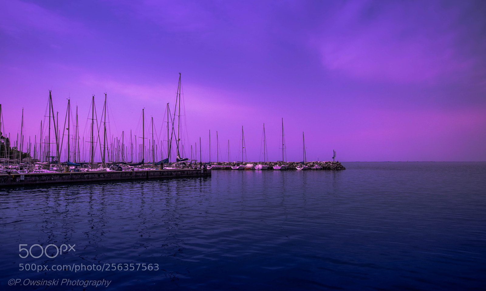 Nikon D5300 sample photo. Trieste harbour / italy photography