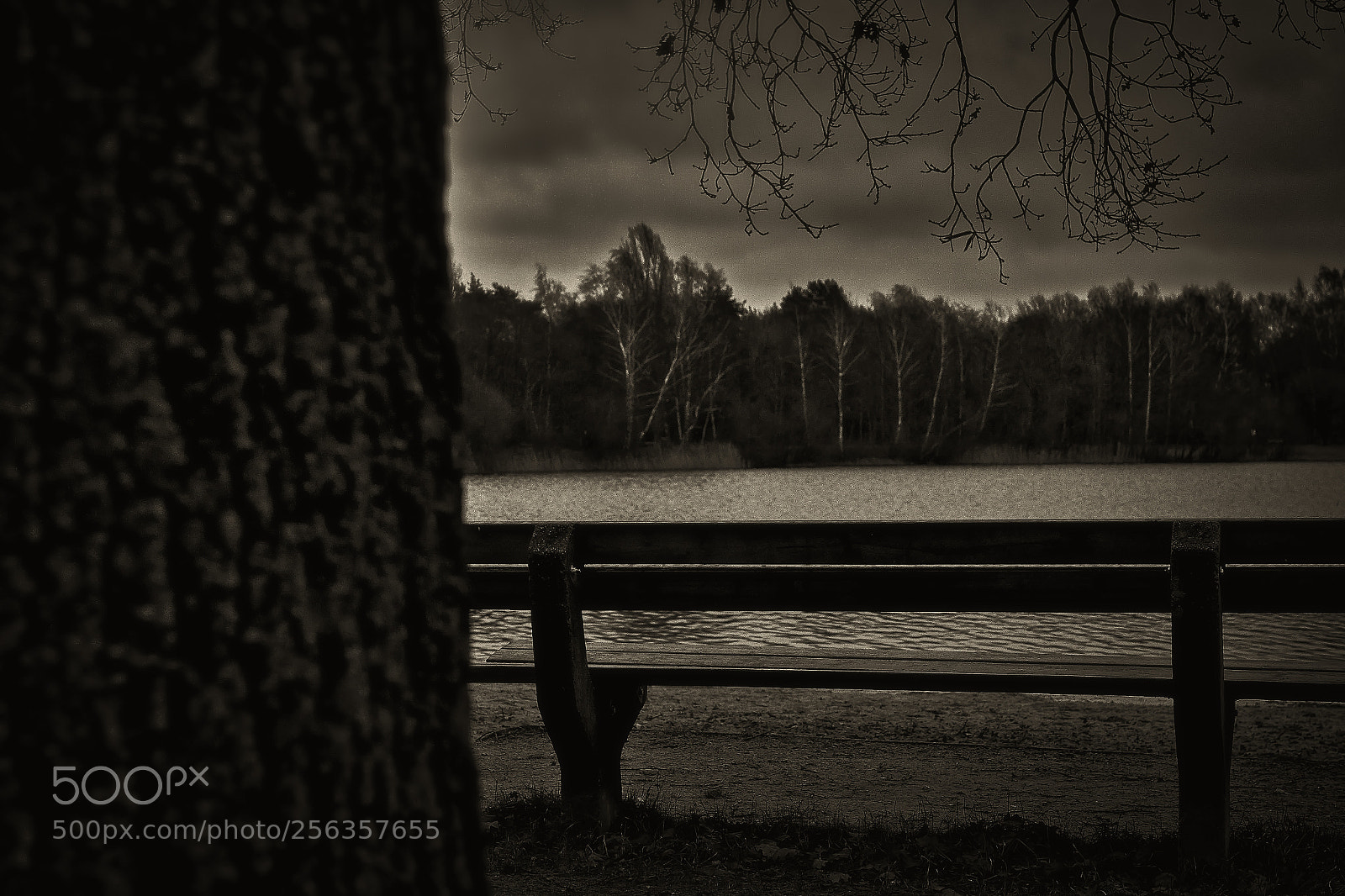 Sony a7R II sample photo. Sin descanso photography