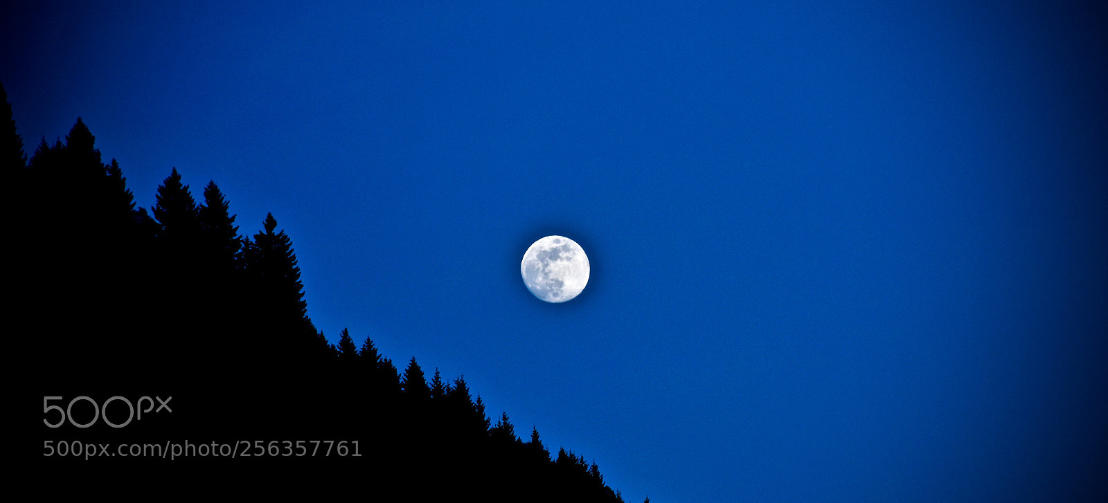 Nikon D7200 sample photo. Good night moon photography