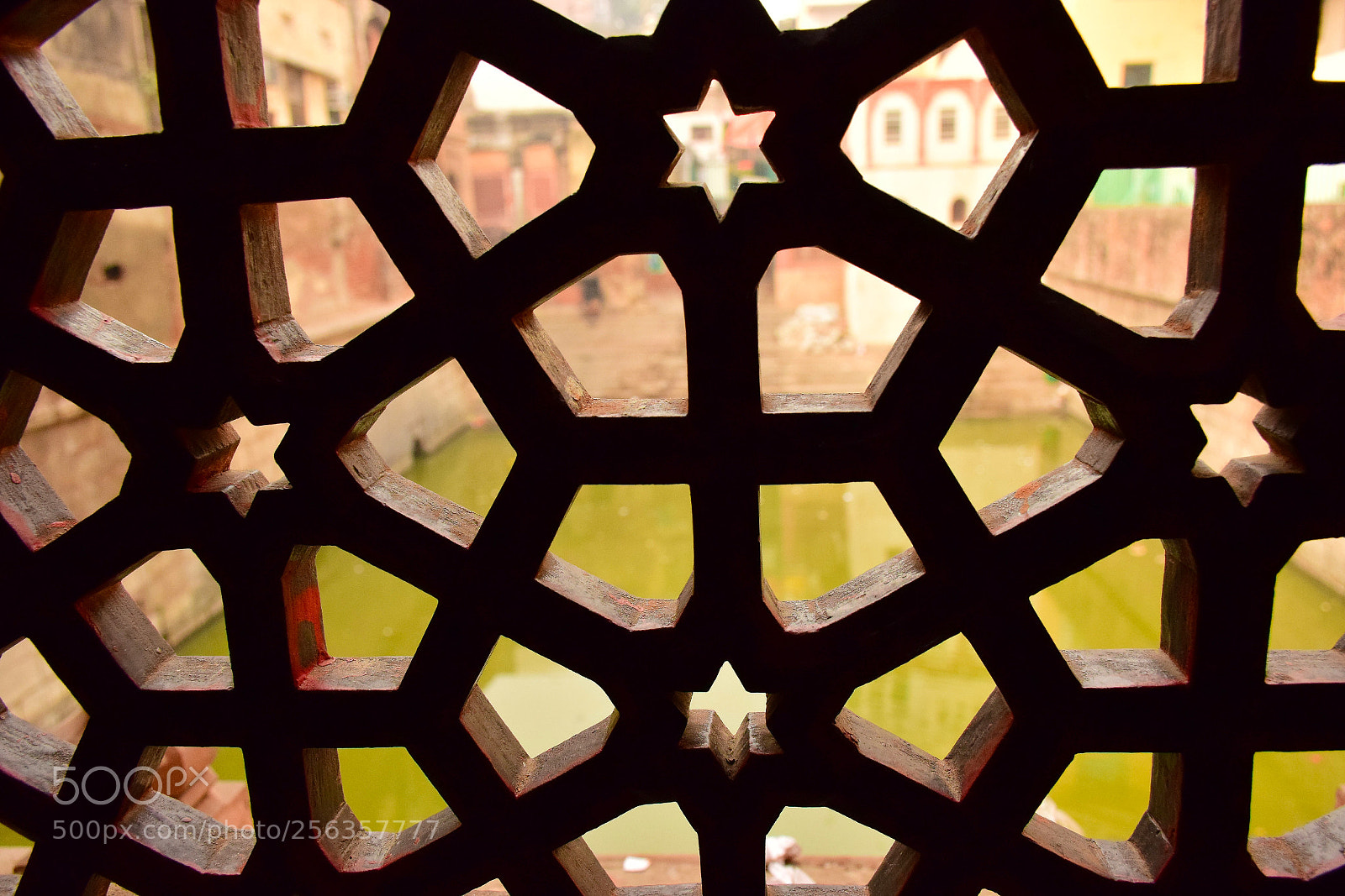 Nikon D5300 sample photo. Grating photography
