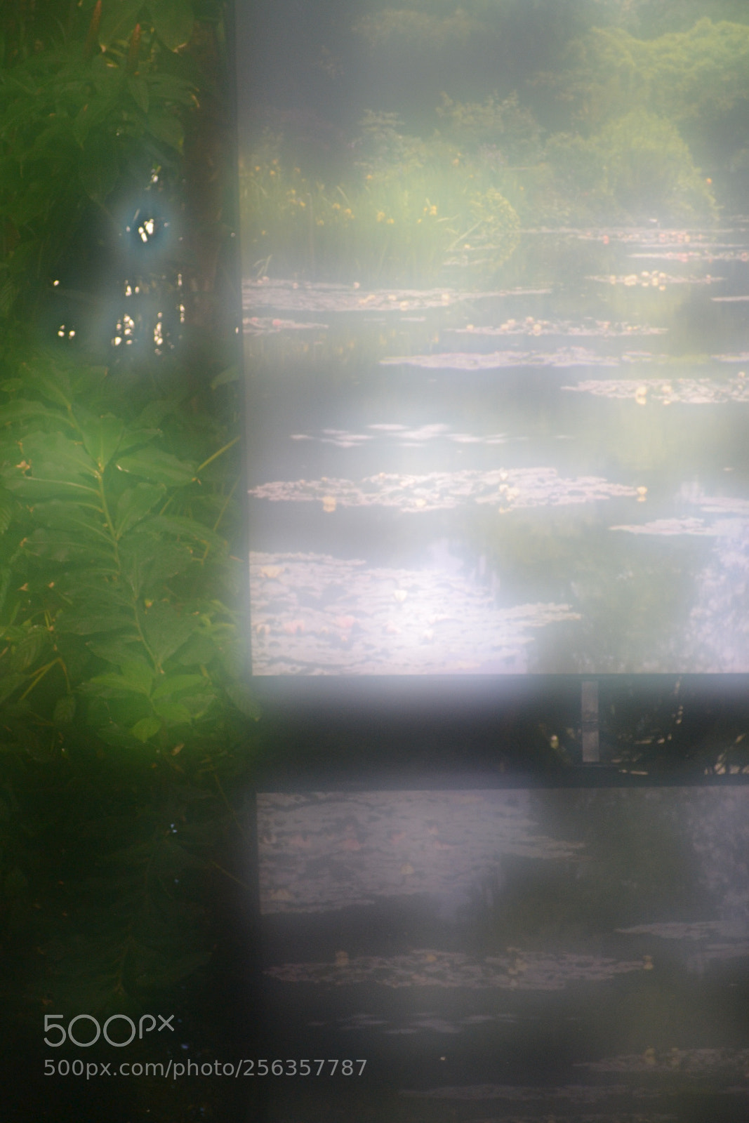 Nikon D3100 sample photo. Botanical garden photography